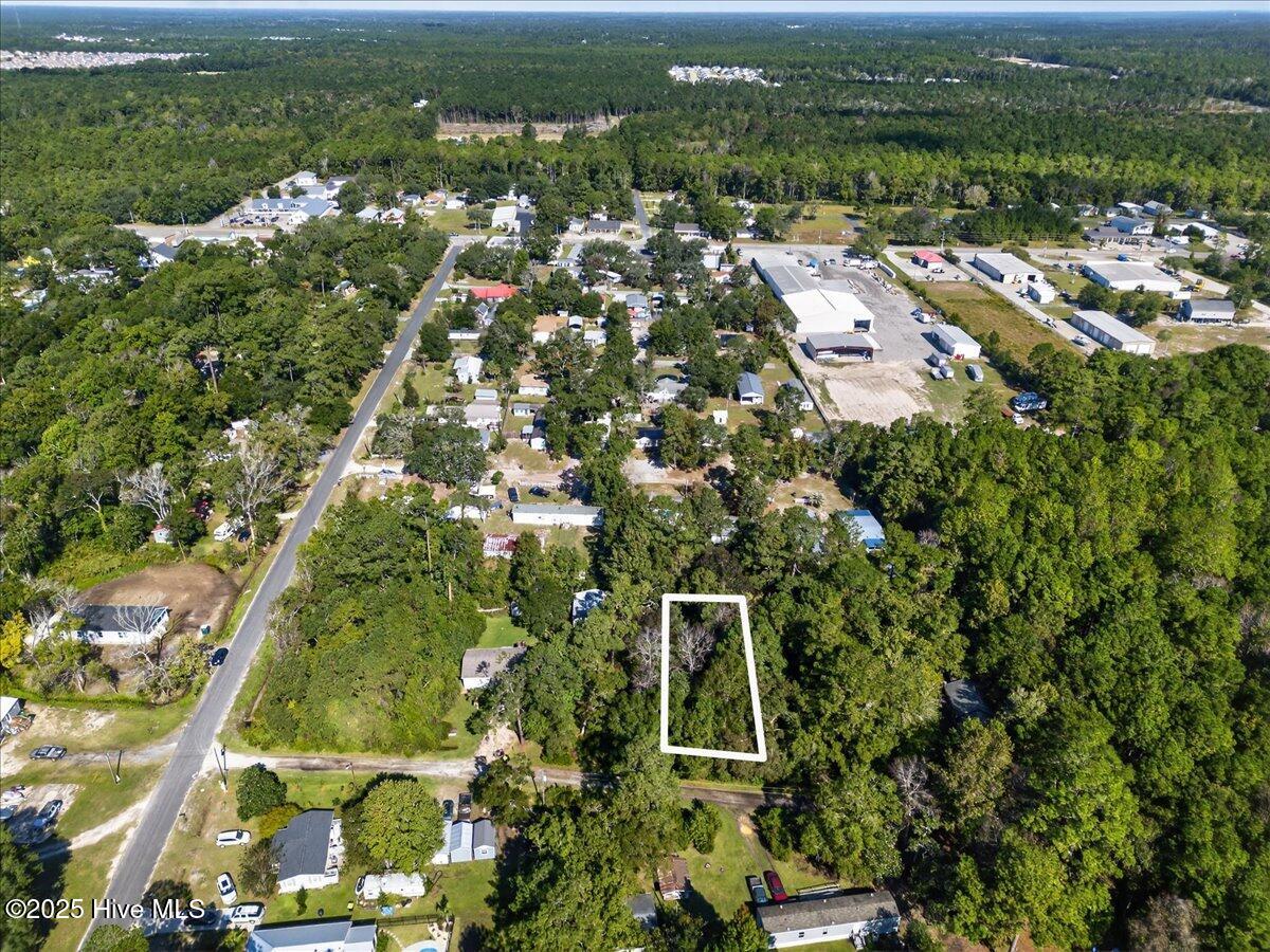 100536170 | Photo 10