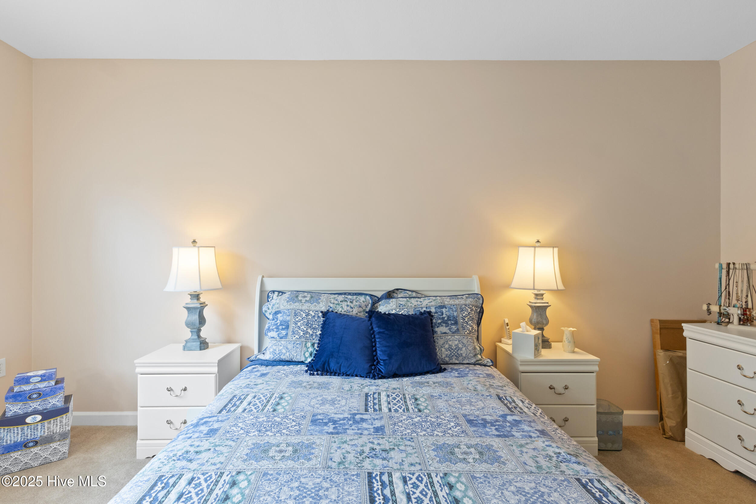 100523602 | Photo 27