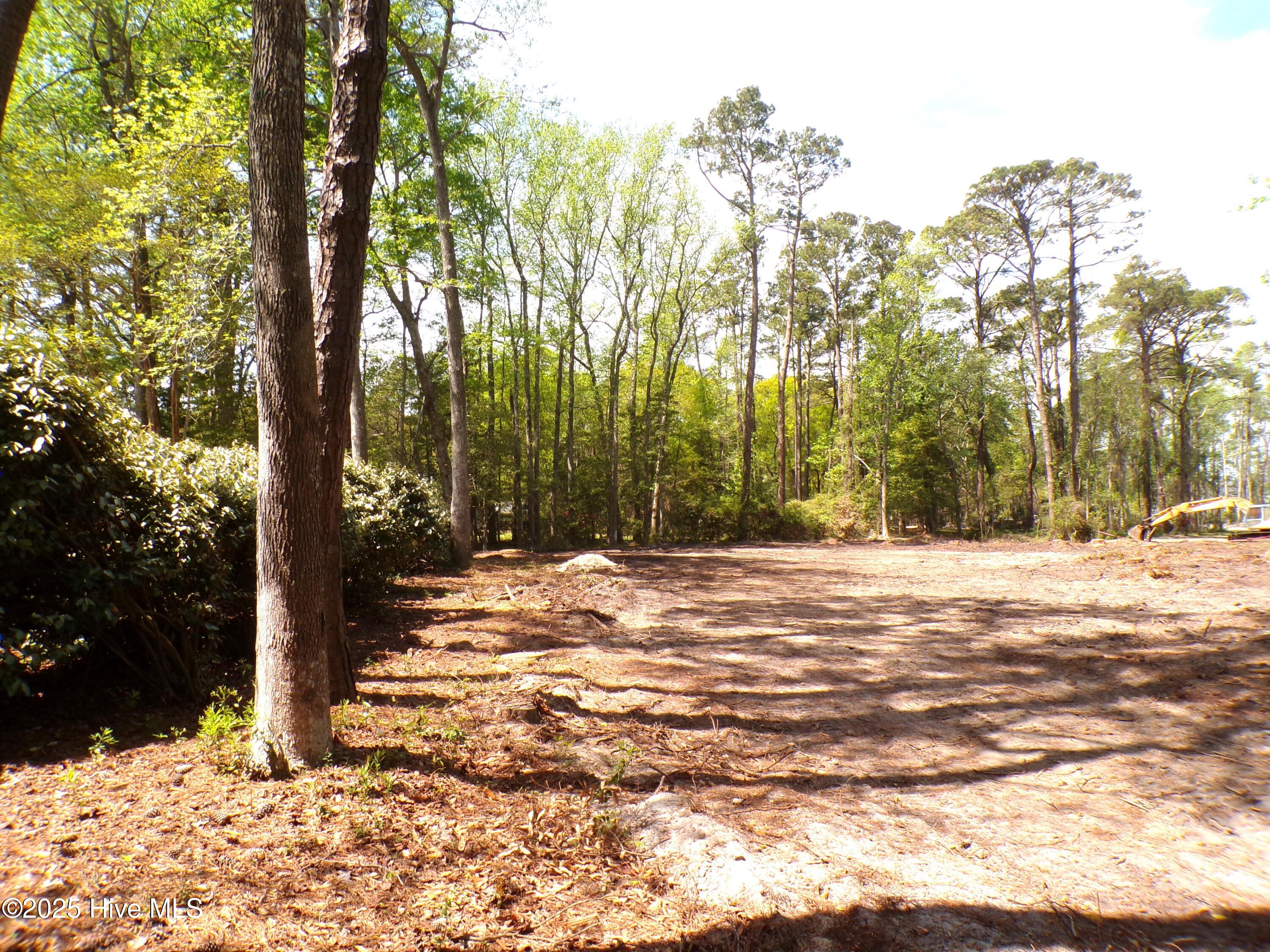 100499822 | Photo 21