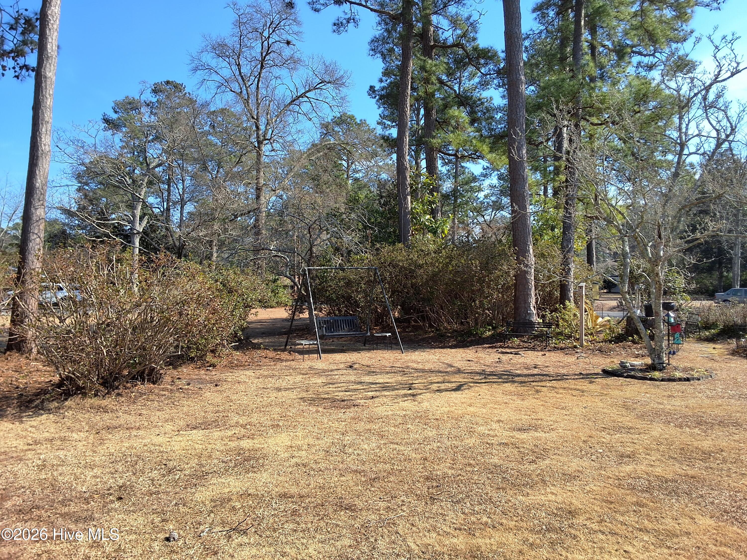 100554569 | Photo 94