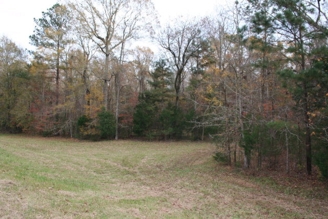 Double Branches Road, Lincolnton, GA 30817 Listing Photo  10