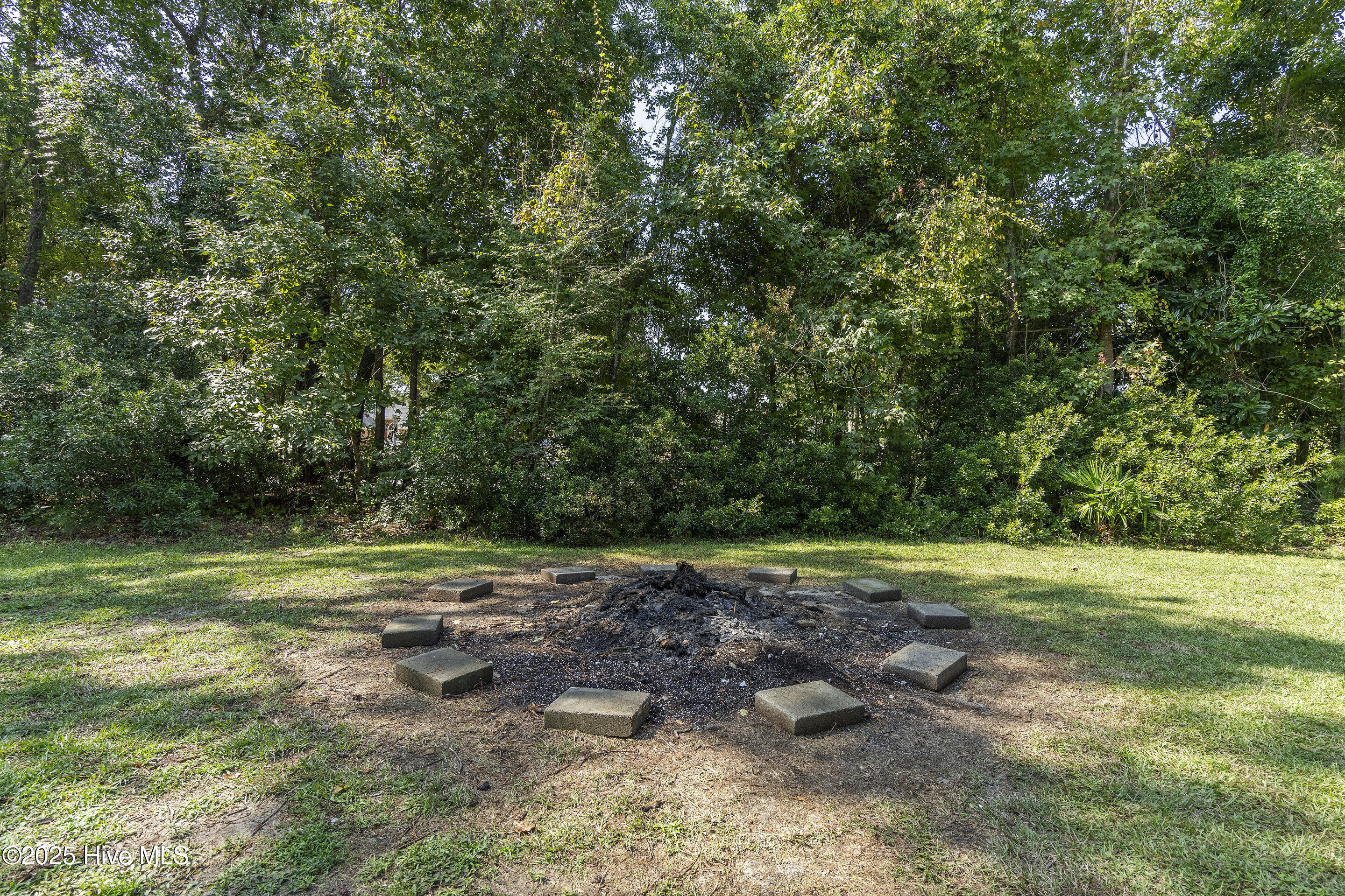 100503346 | Photo 102