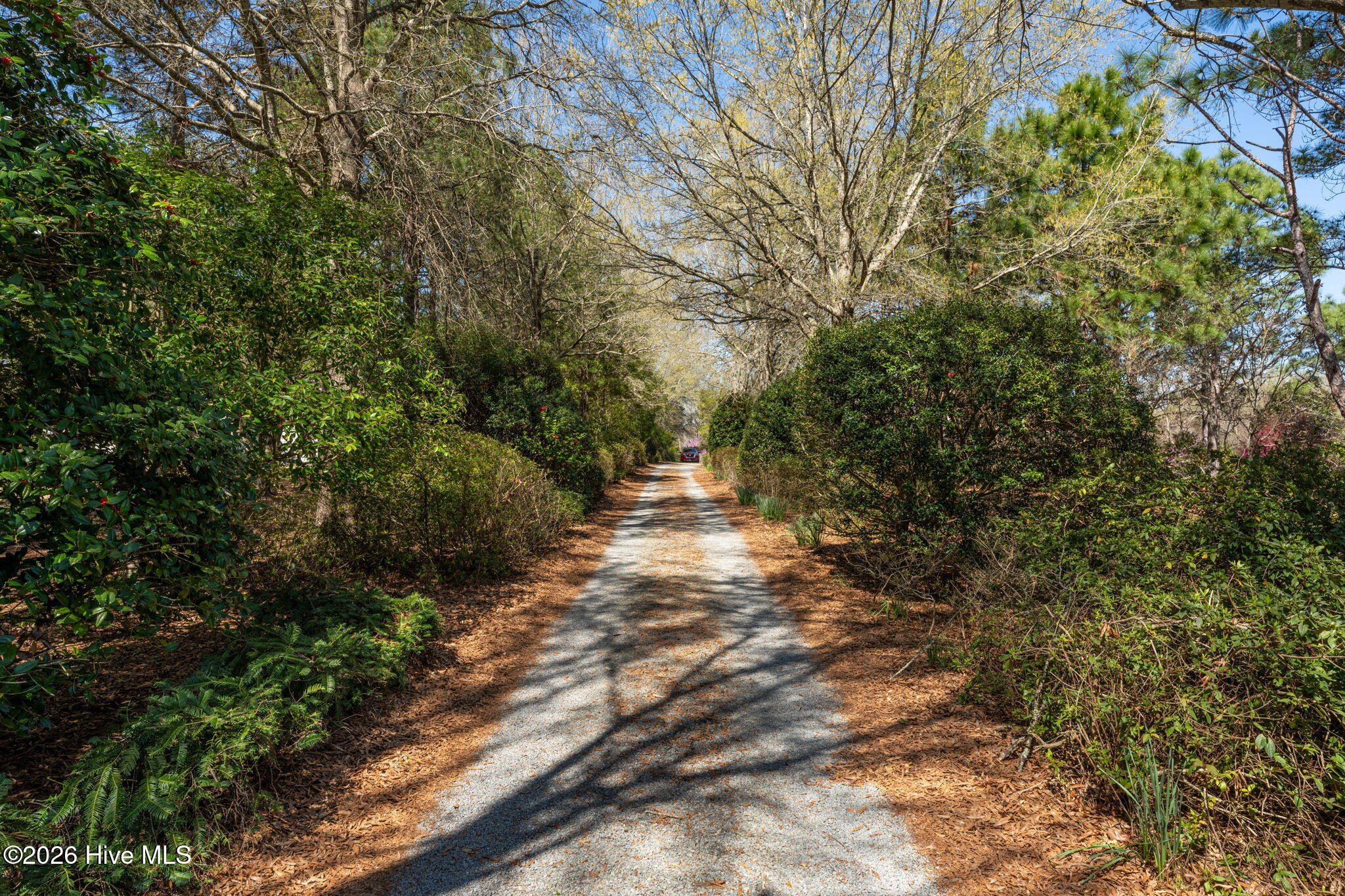 100552056 | Photo 108