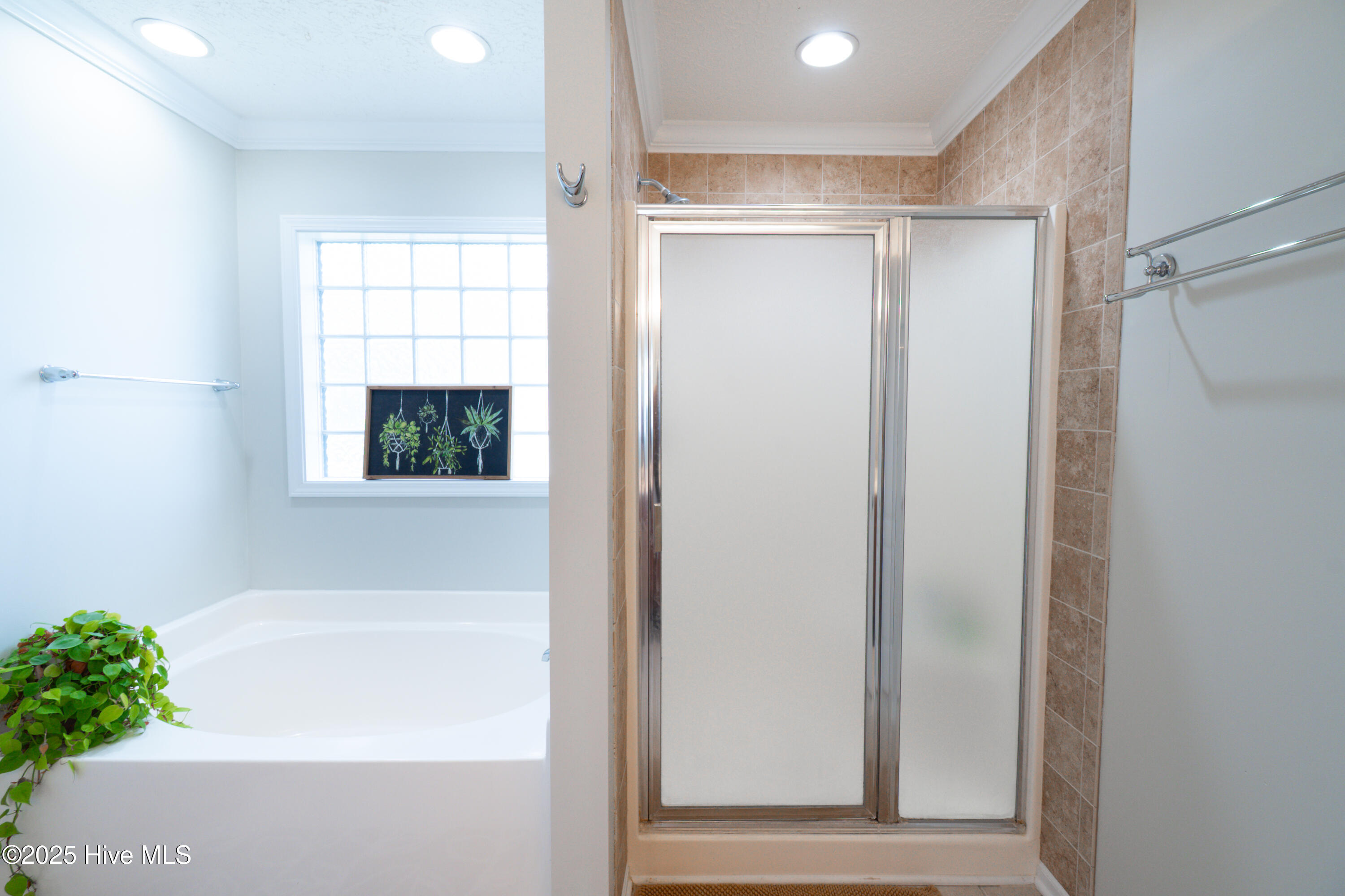 100528578 | Photo 31