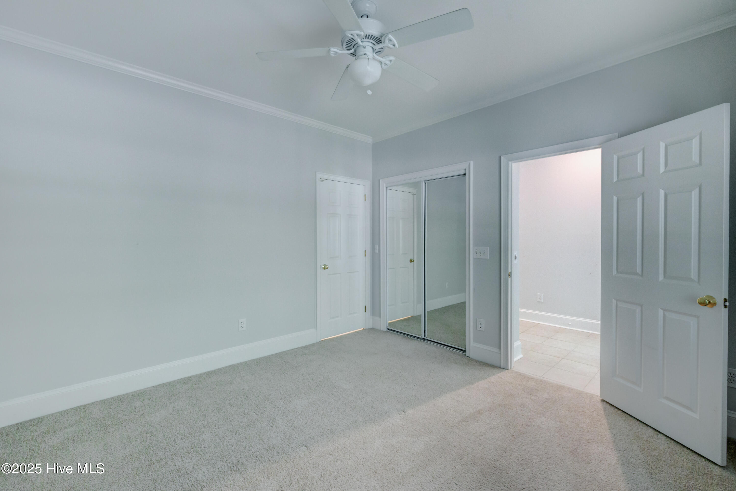 100534923 | Photo 19