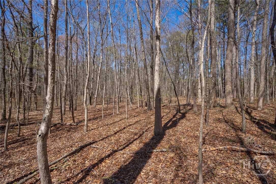 0 Poplar Street, Monroe, GA, 30655