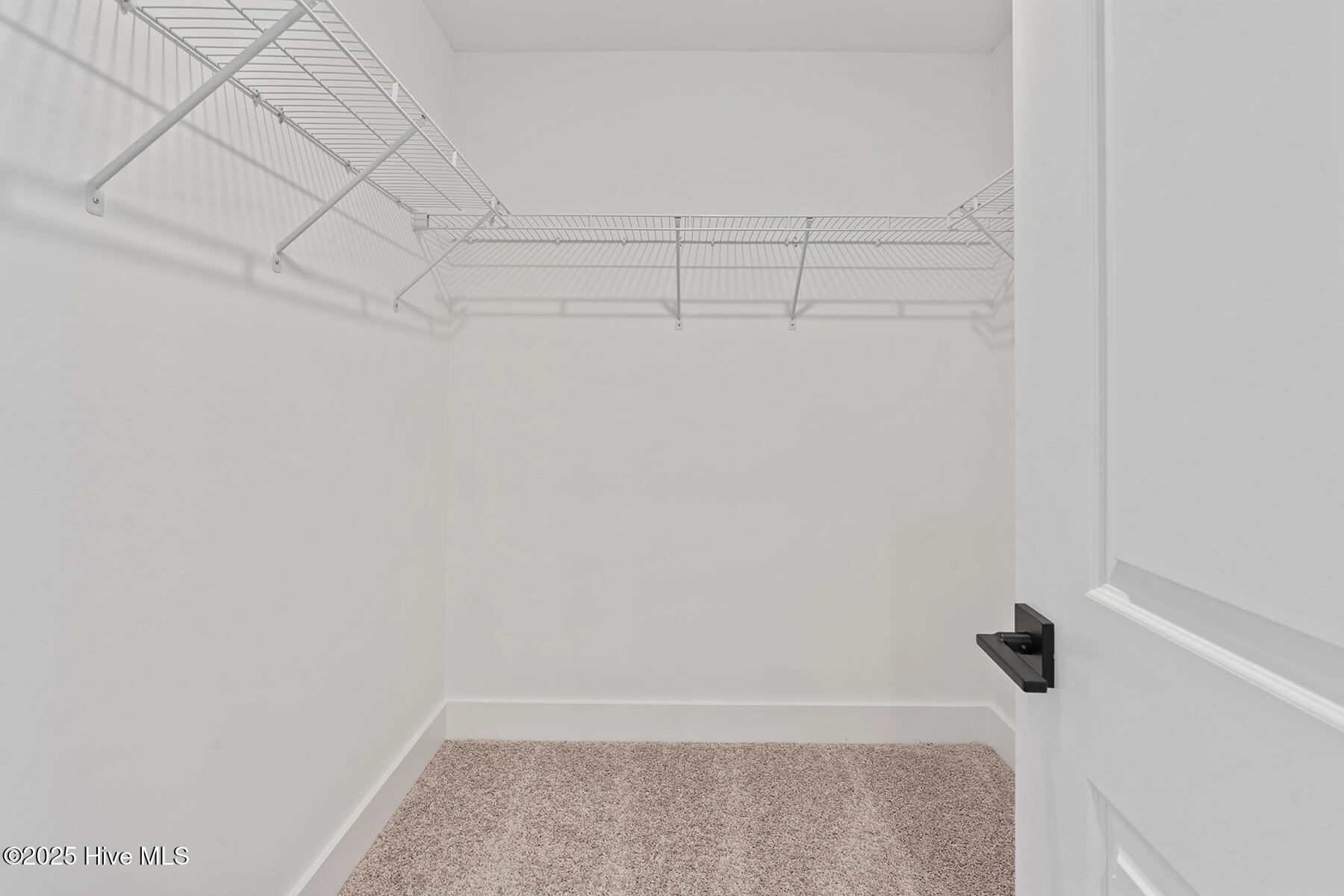 100537968 | Photo 17