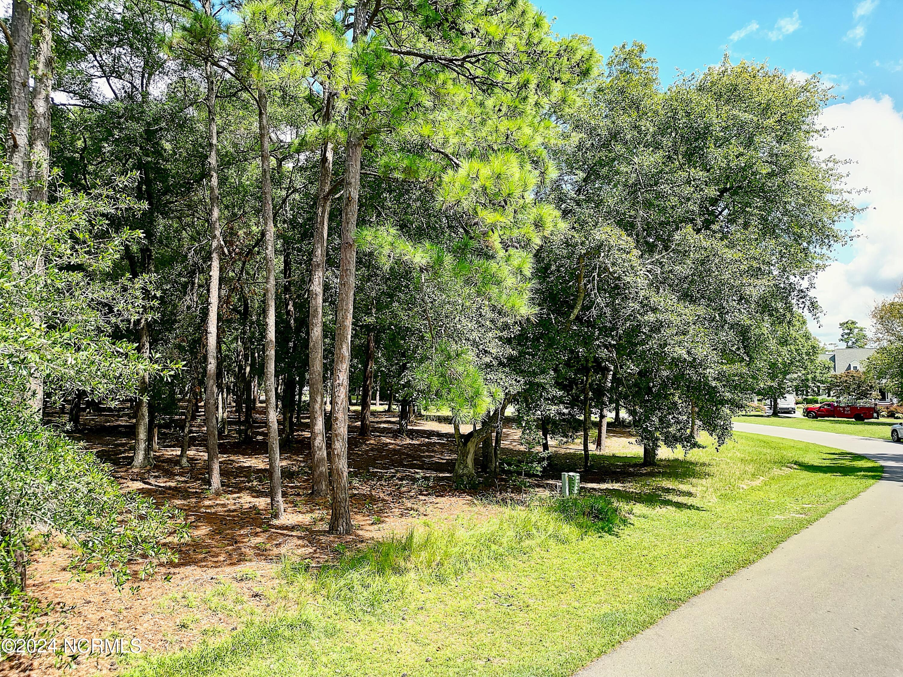 100564965 | Photo 10