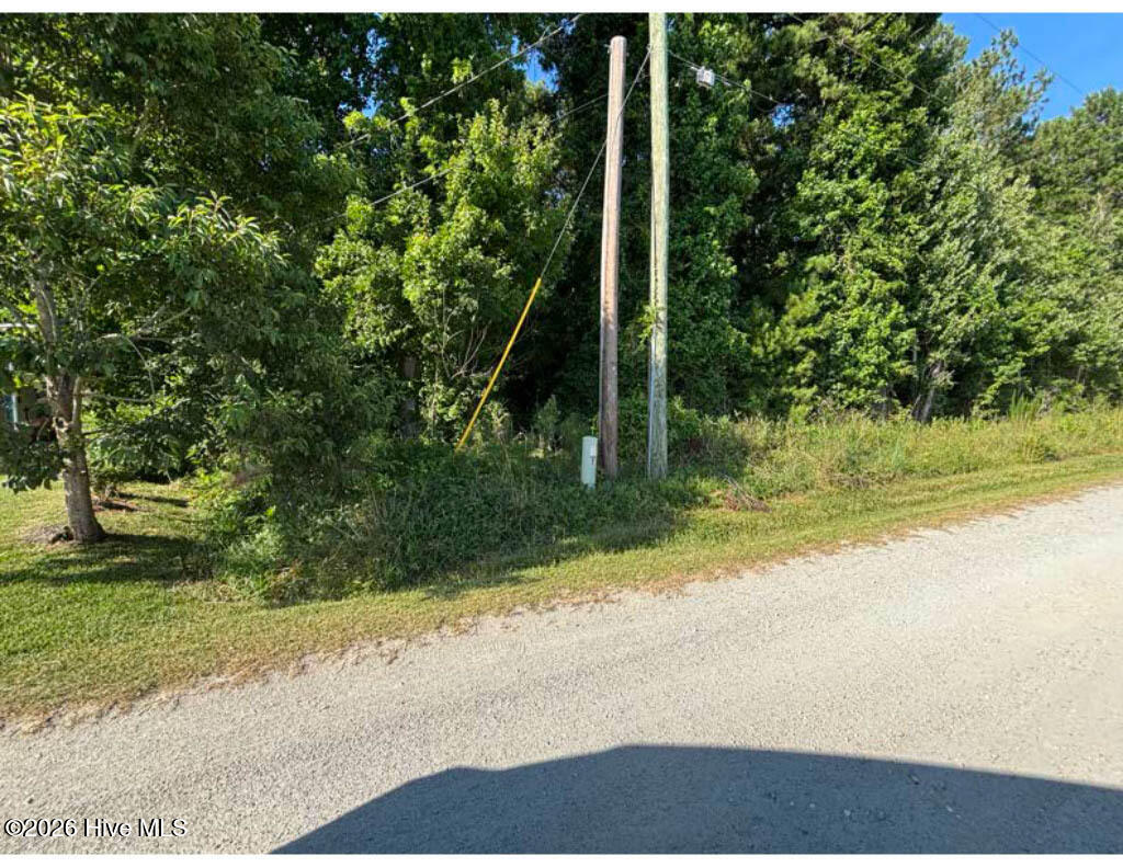 100586968 | Photo 20