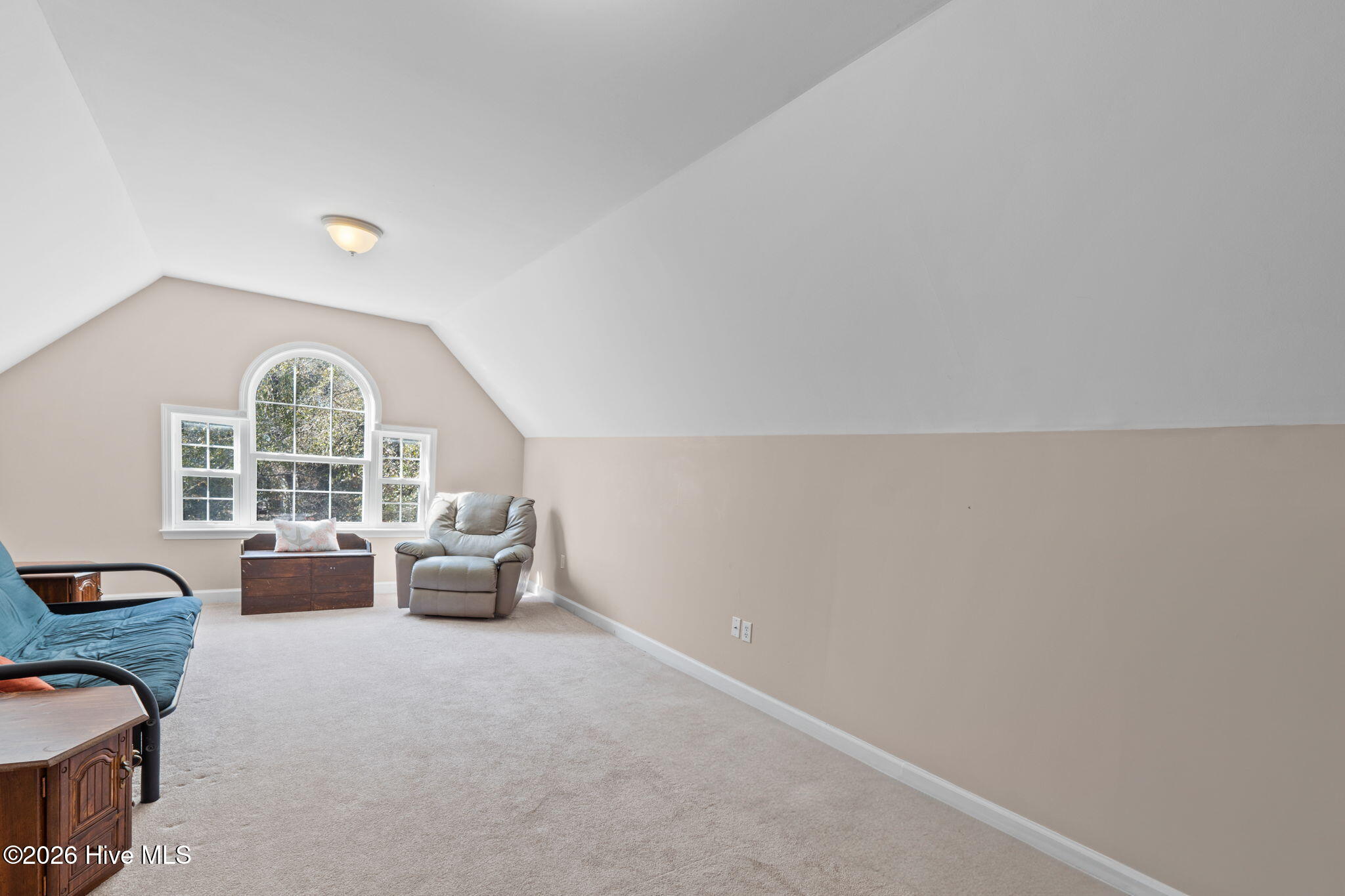 100556771 | Photo 26