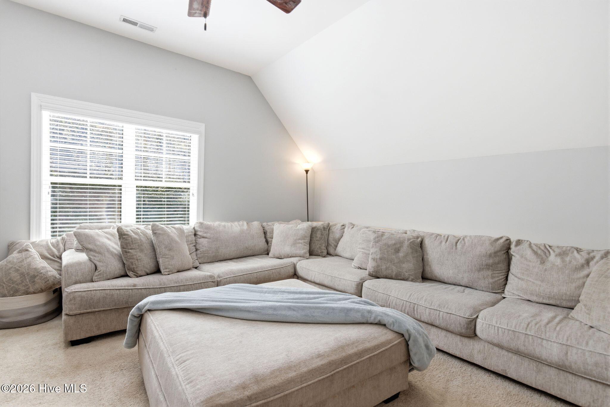 100563379 | Photo 38