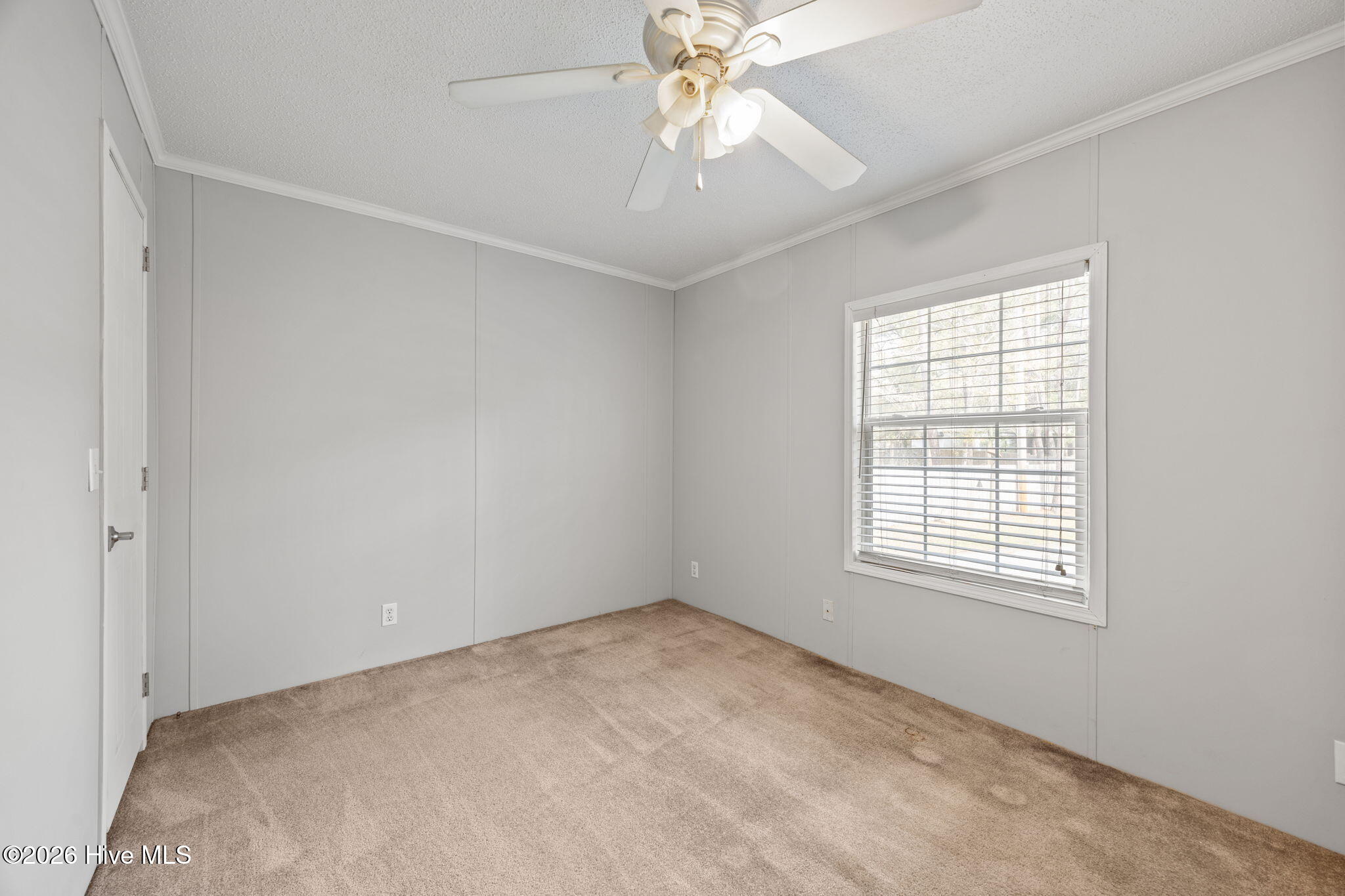 121 Bogue Forest Court,Newport