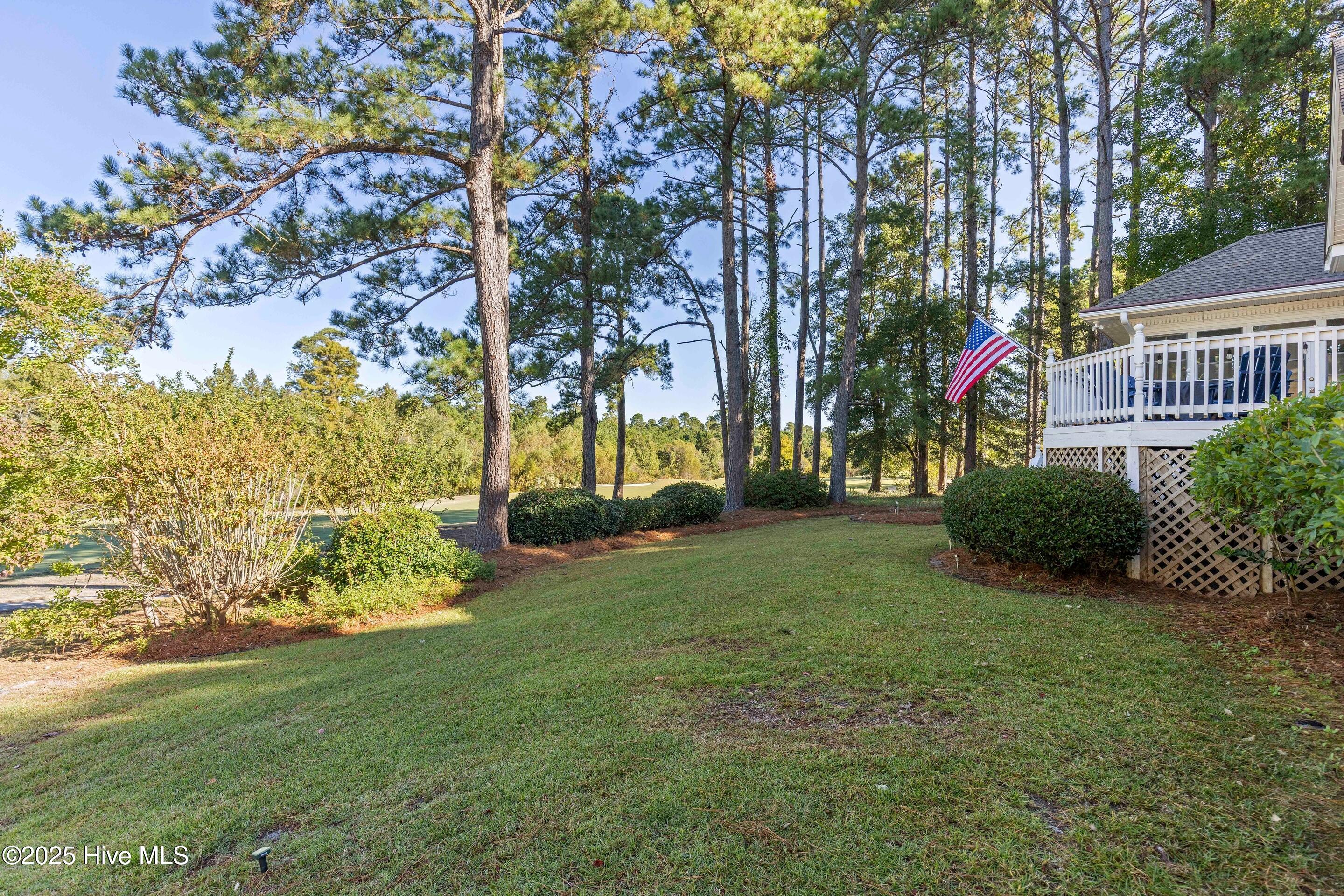 100541772 | Photo 53