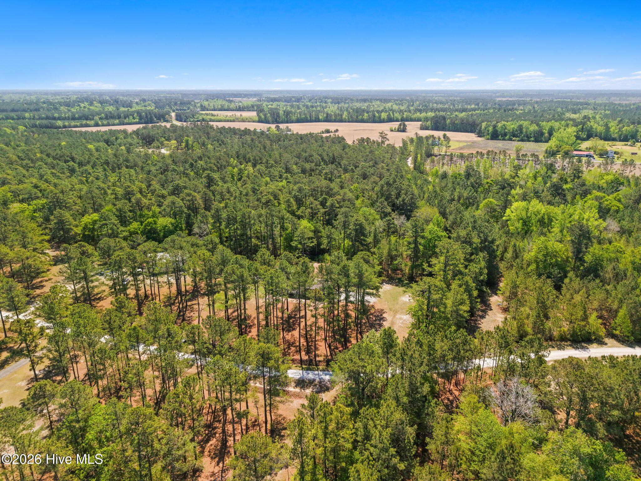 100567868 | Photo 30