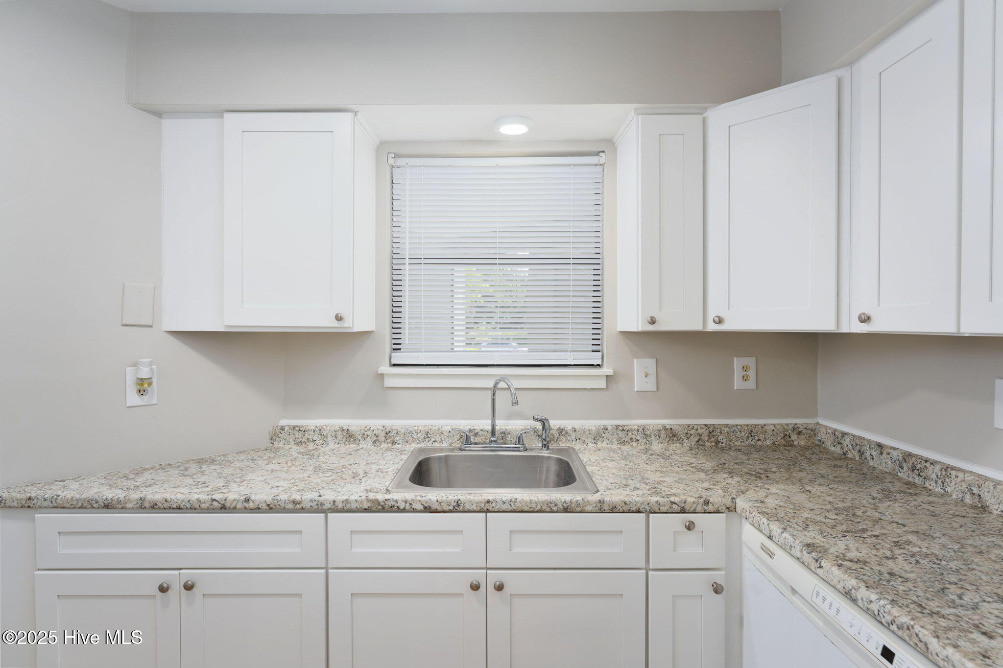 100519799 | Photo 23