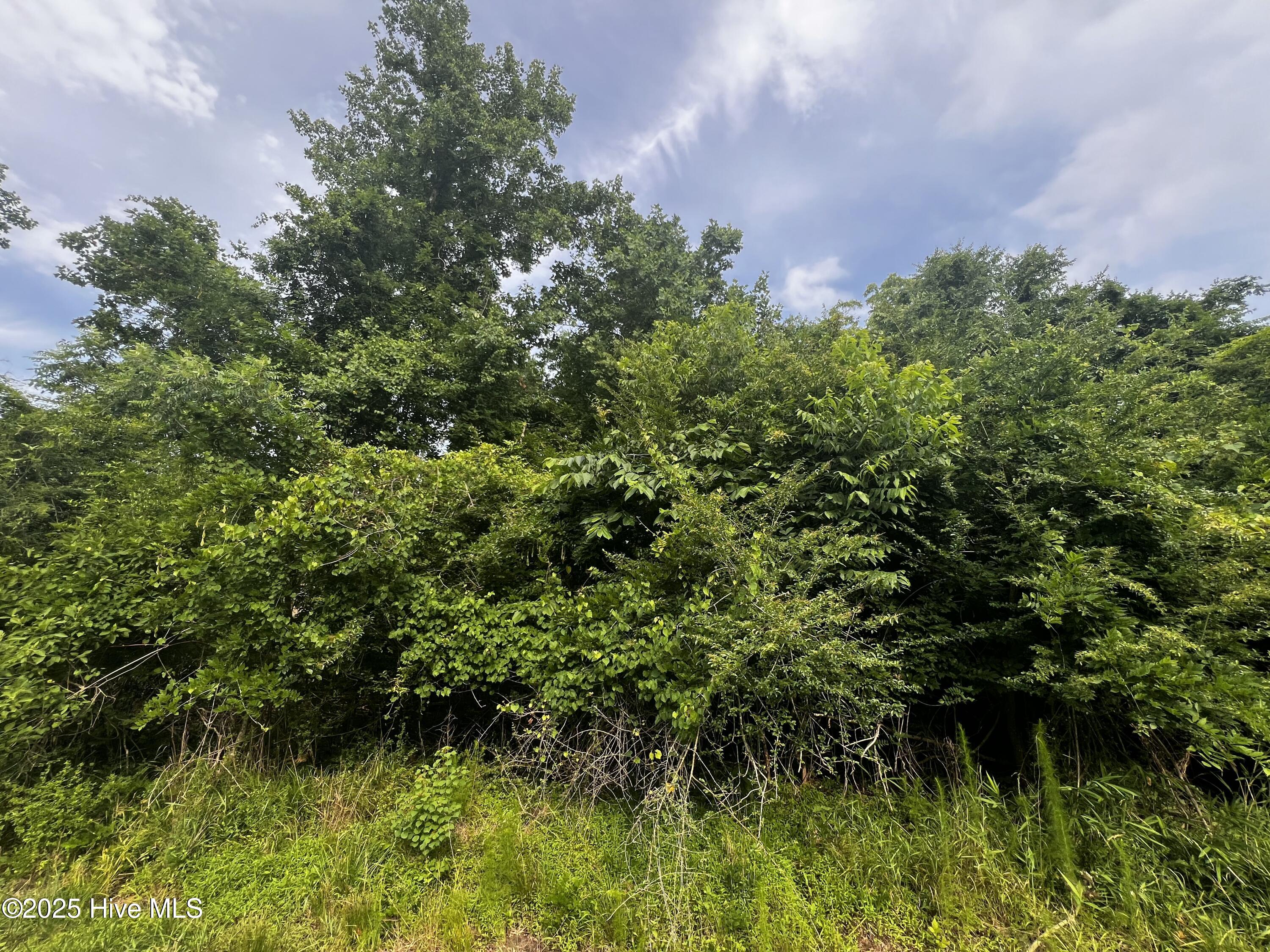 0 White Farm Road,Oriental
