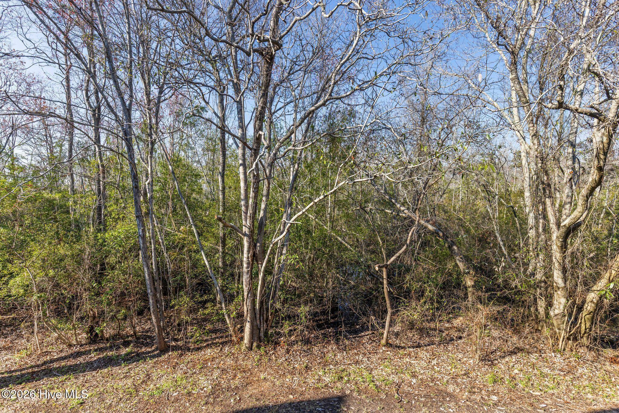 100560146 | Photo 51