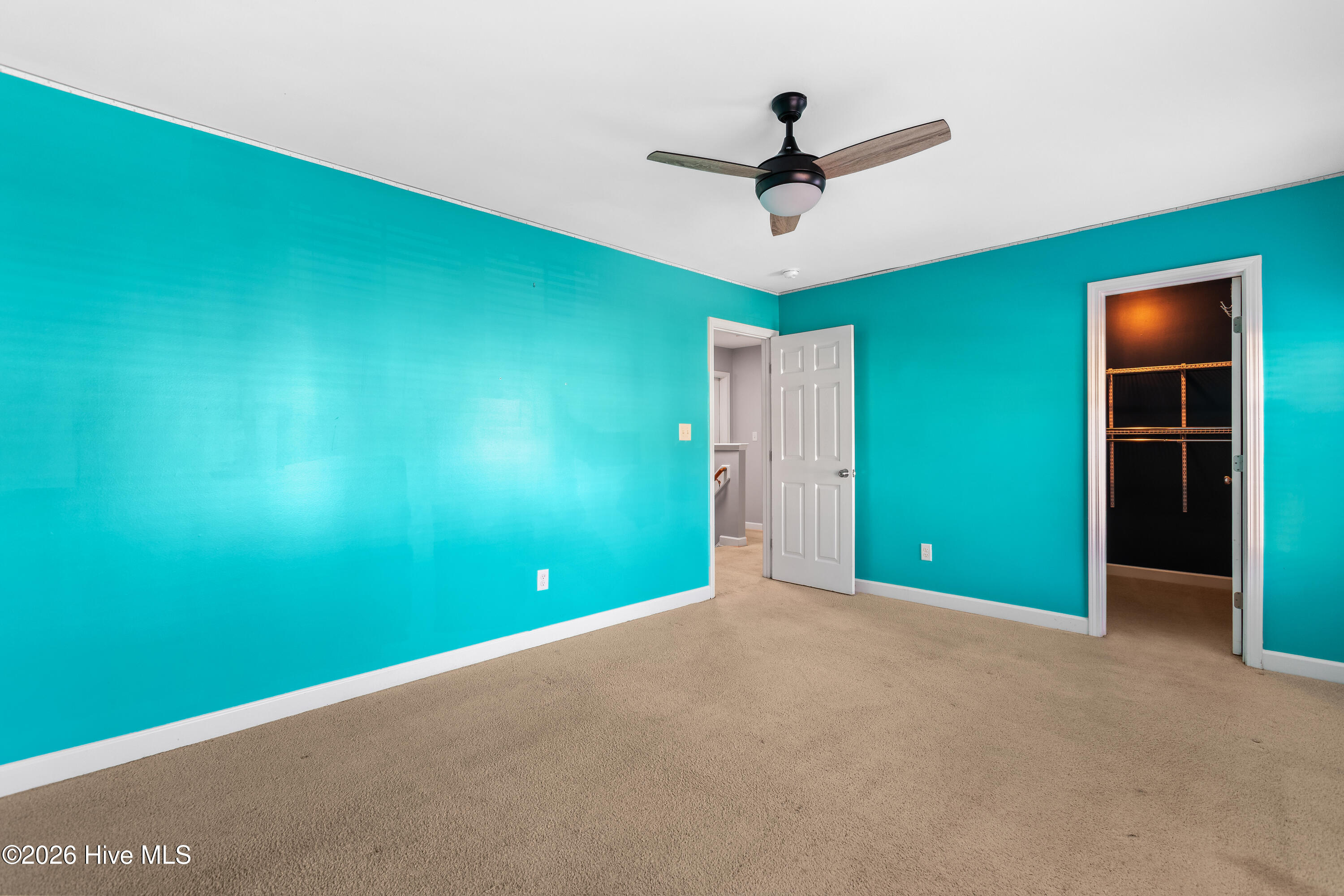 100551493 | Photo 28