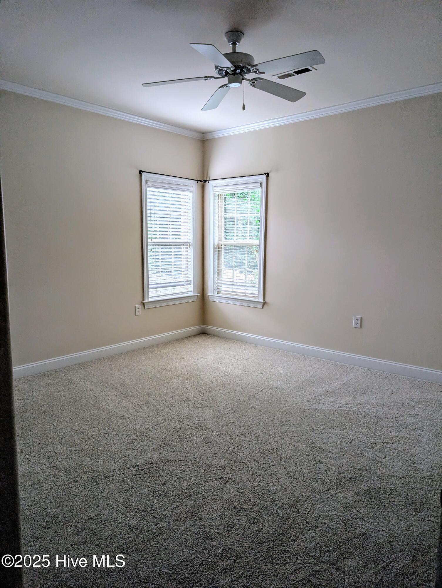 100522751 | Photo 14