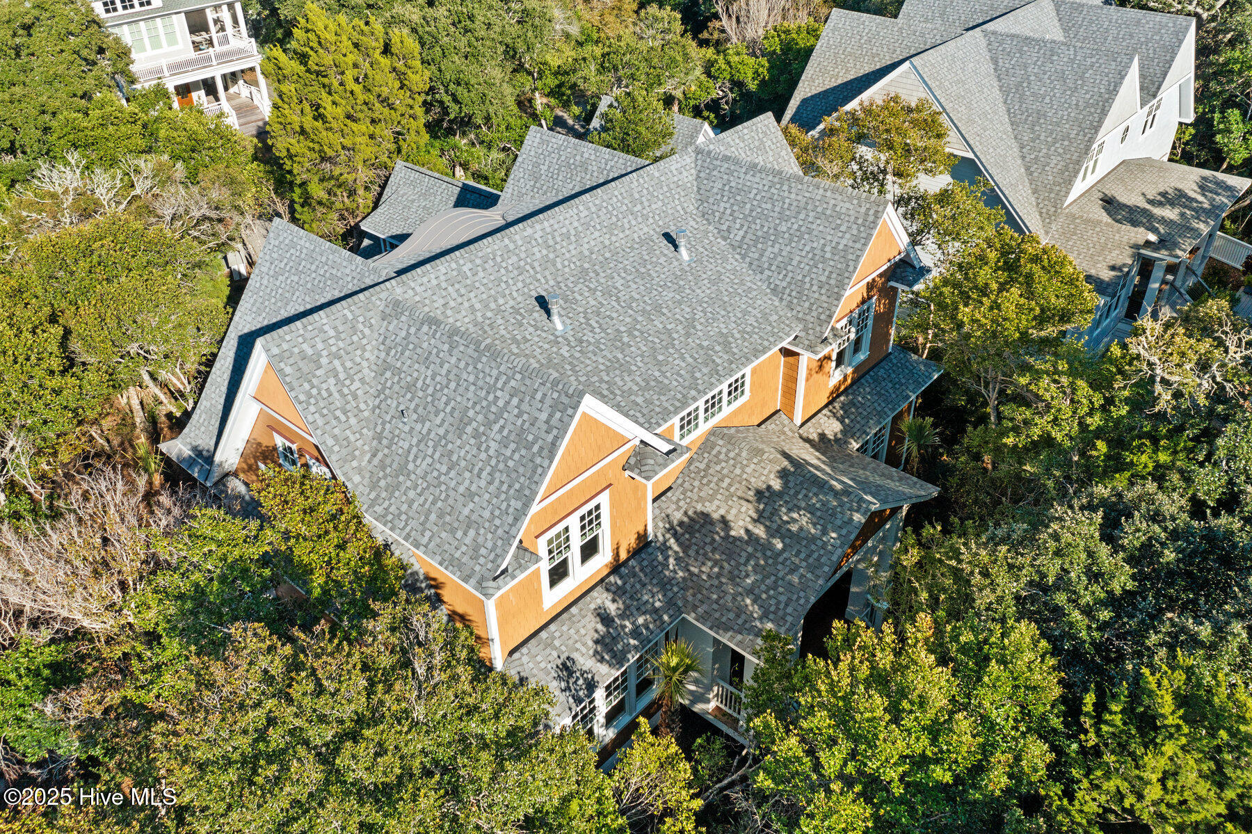 100401243 | Photo 102