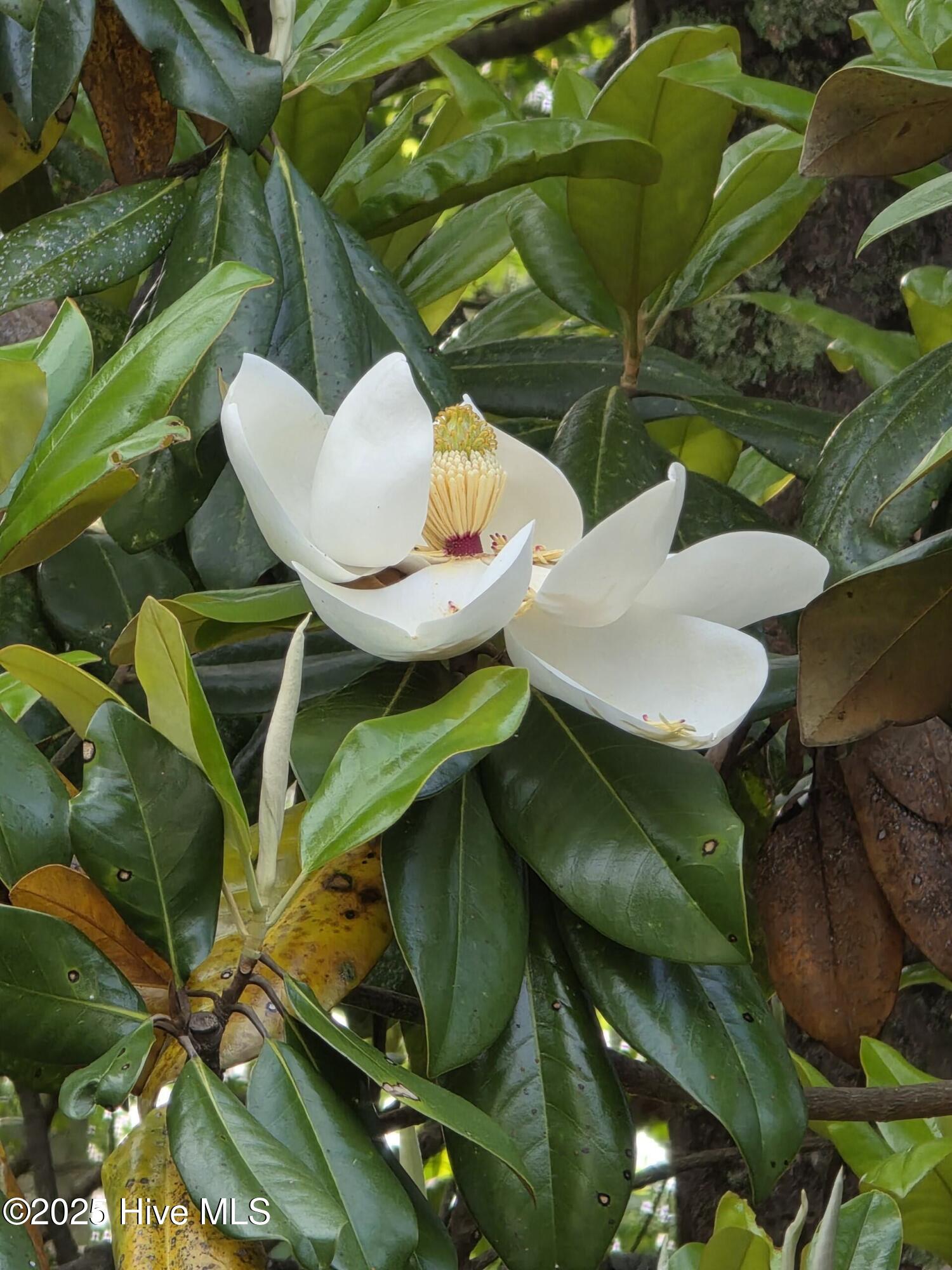 100500123 | Photo 47