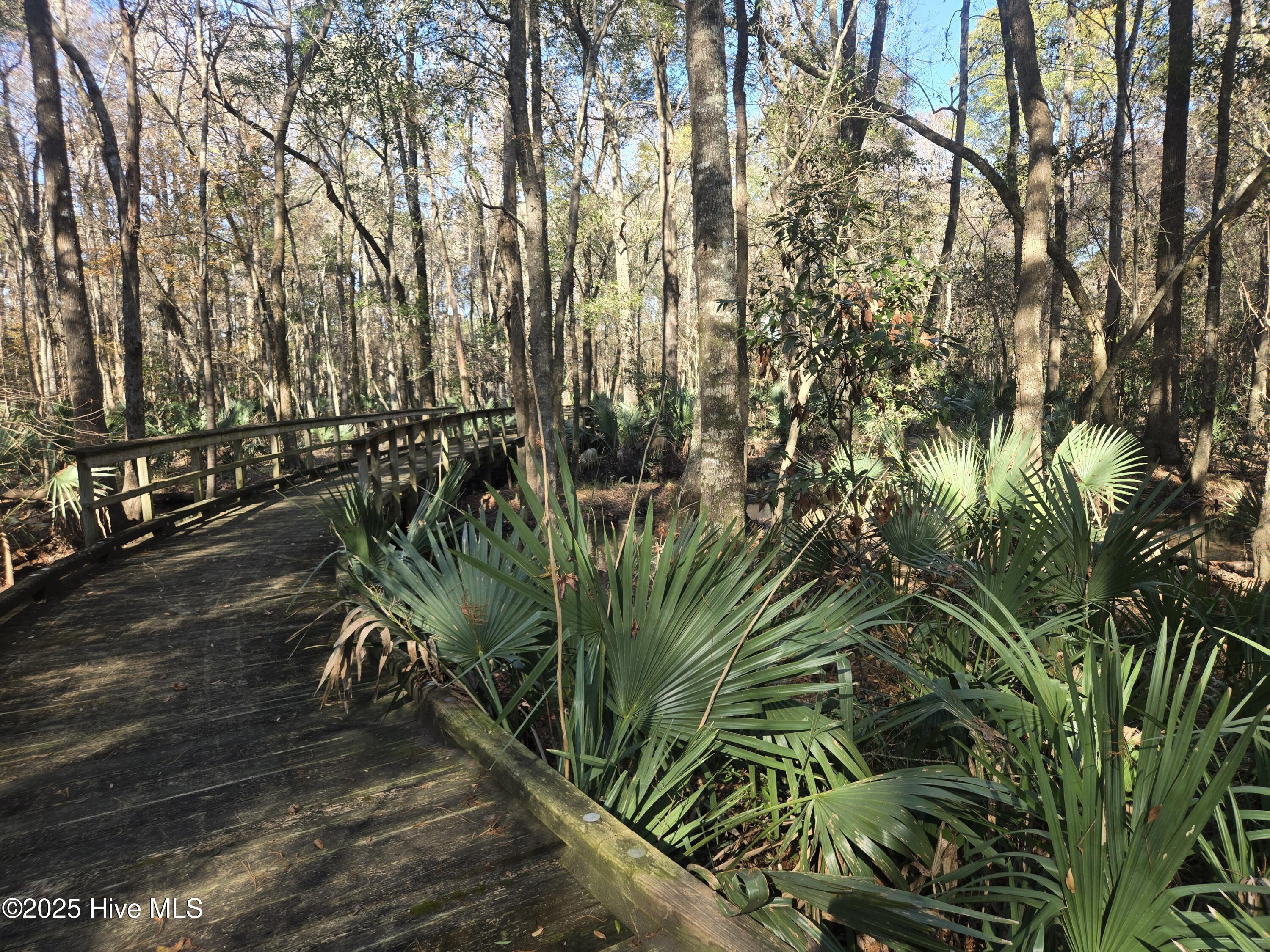 100545211 | Photo 90