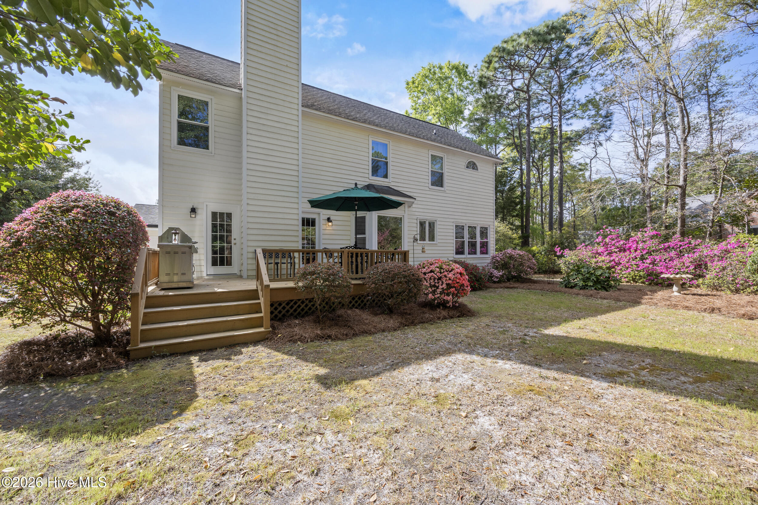 100564035 | Photo 49