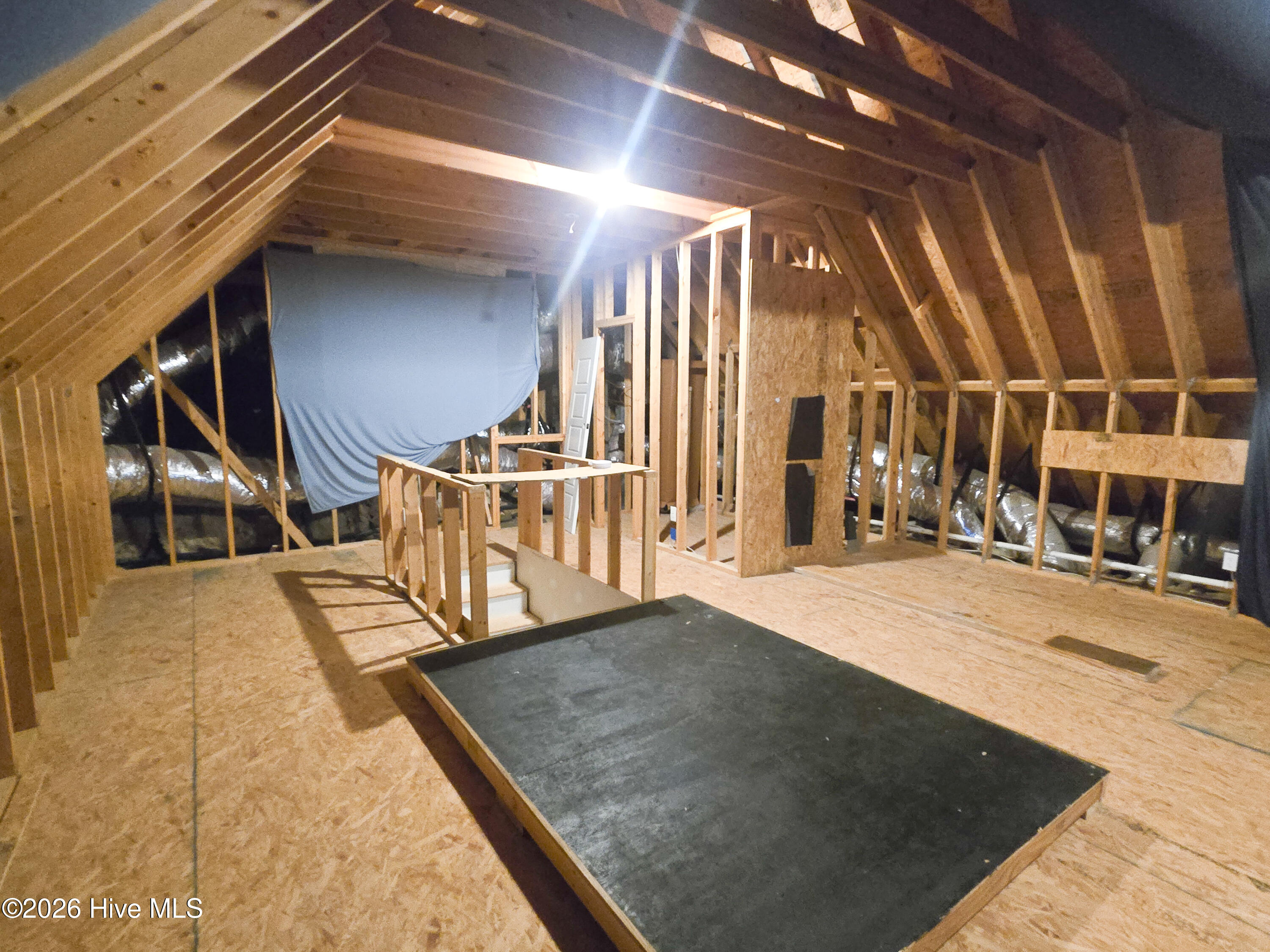 100557279 | Photo 33