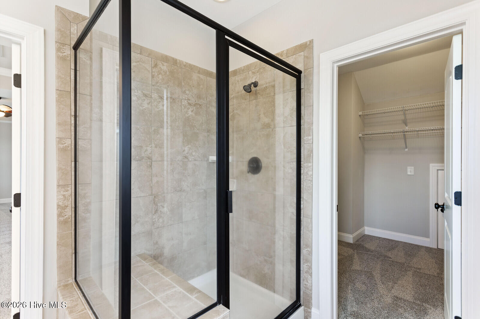 100558633 | Photo 26