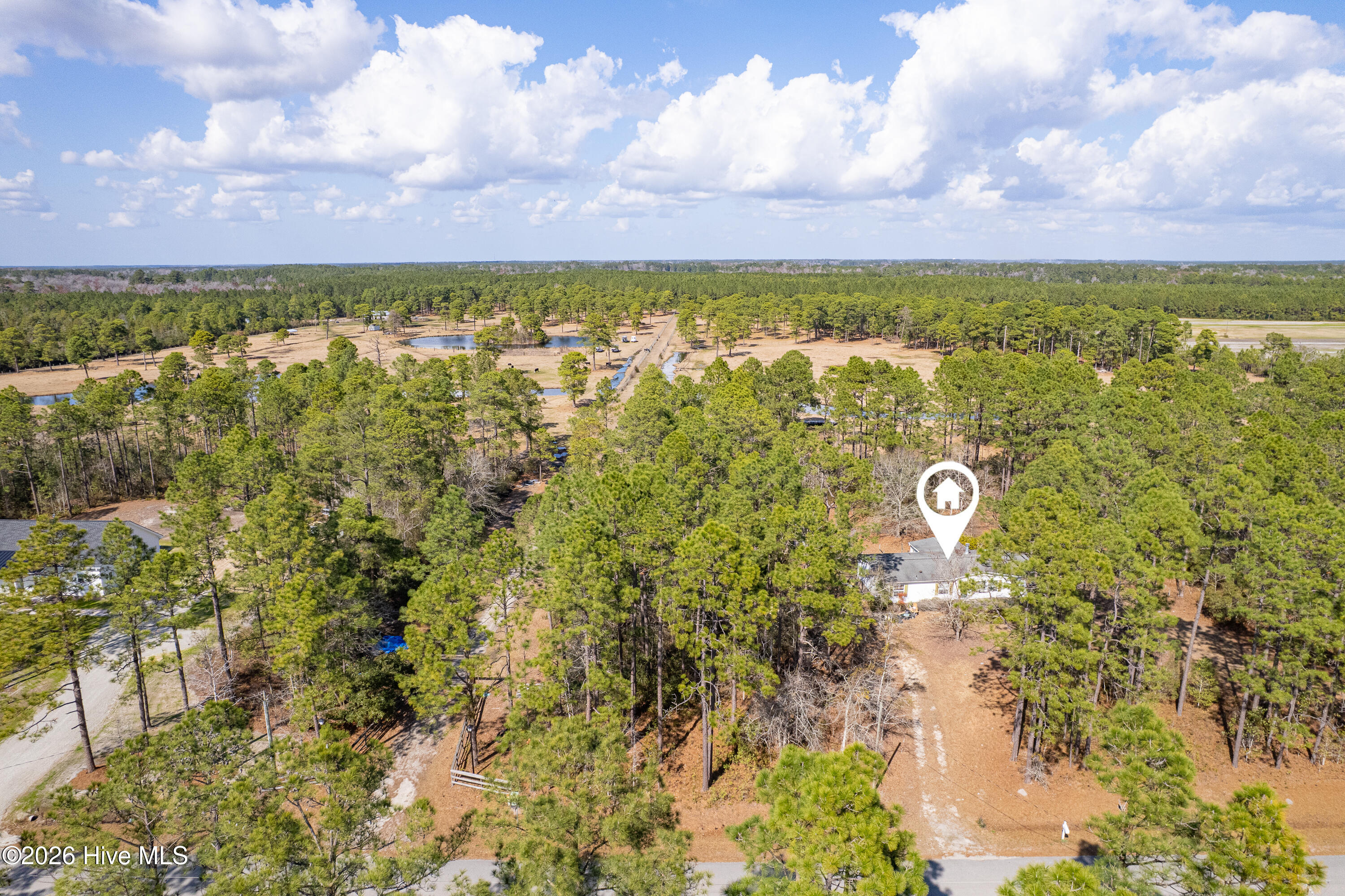 100559404 | Photo 30