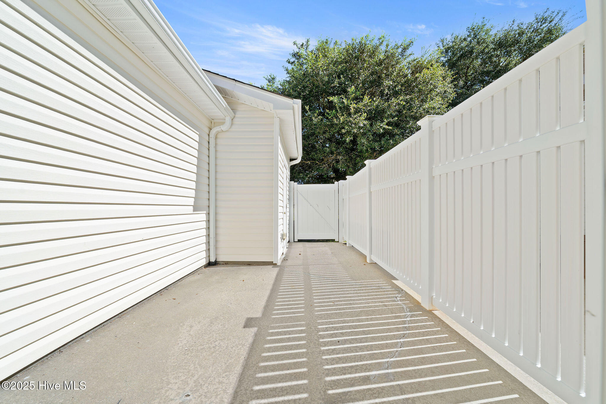 100529129 | Photo 13