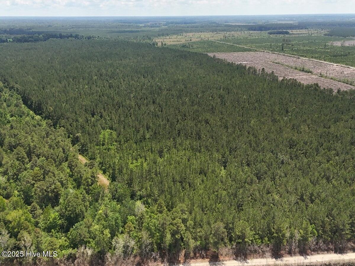 100513588 | Photo 14