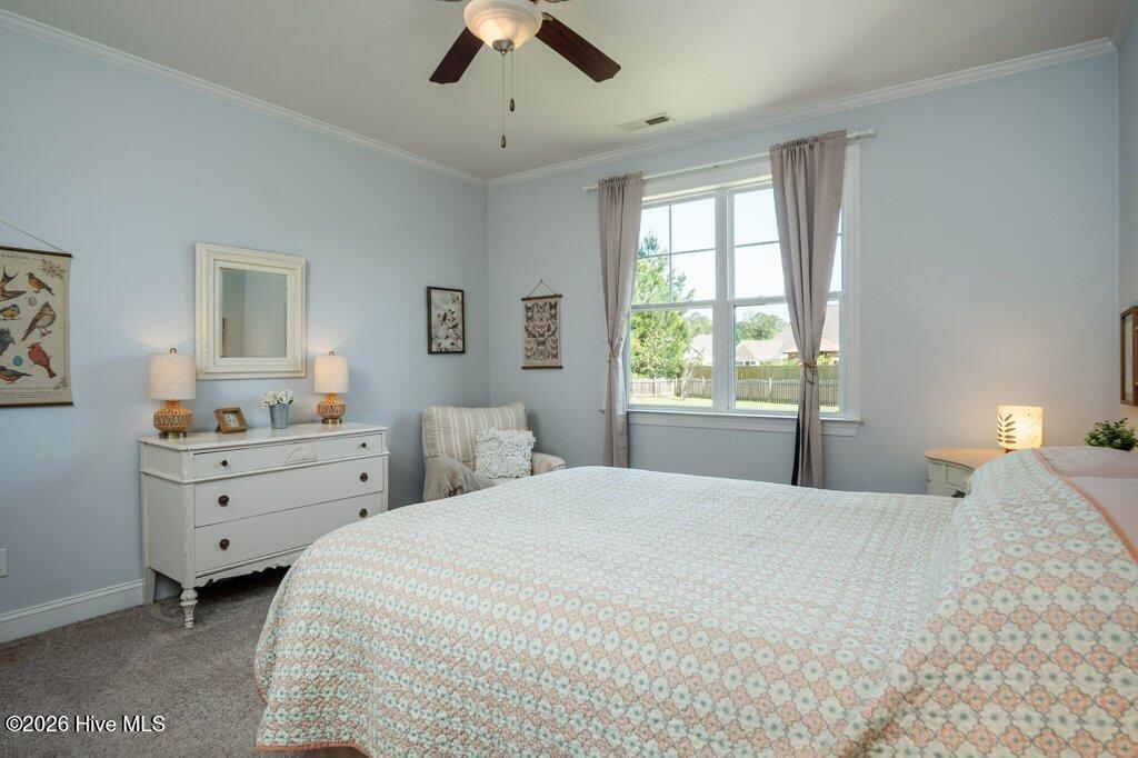 100569625 | Photo 28