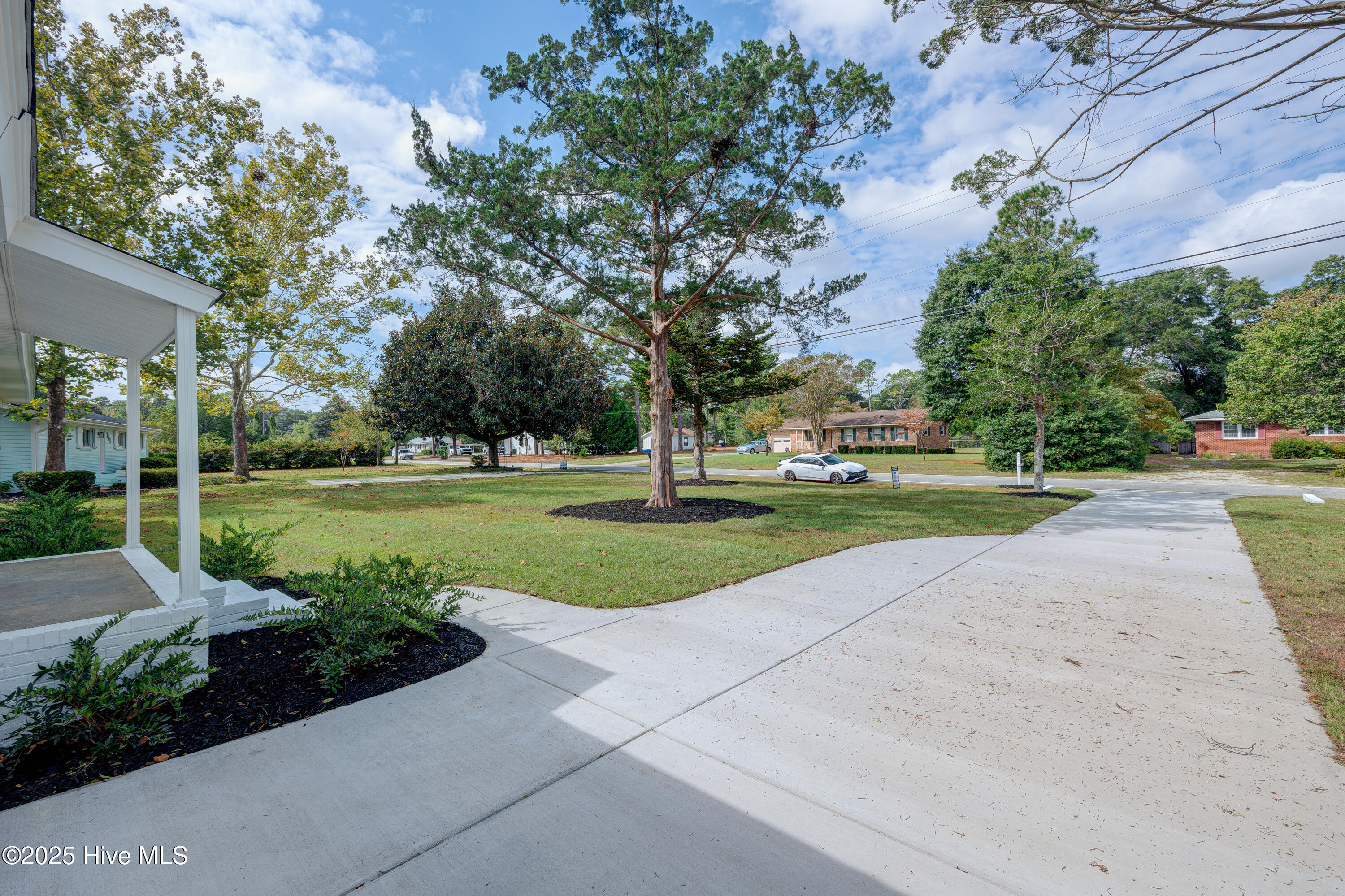 100534169 | Photo 35