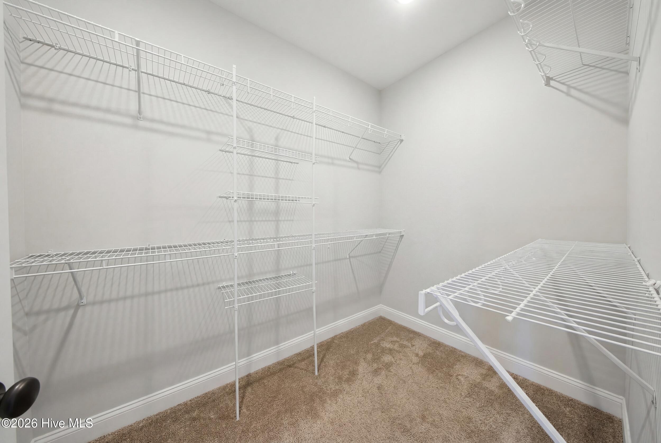 100565388 | Photo 32