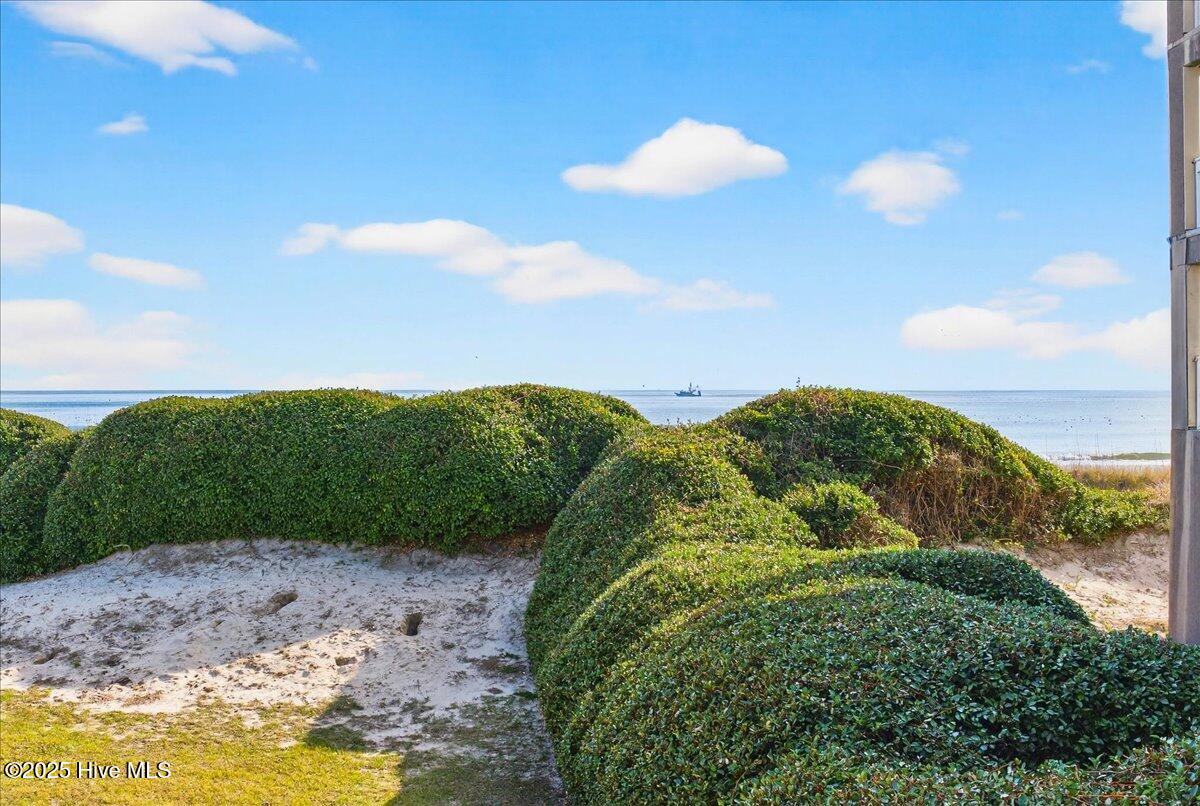 100544824 | Photo 30