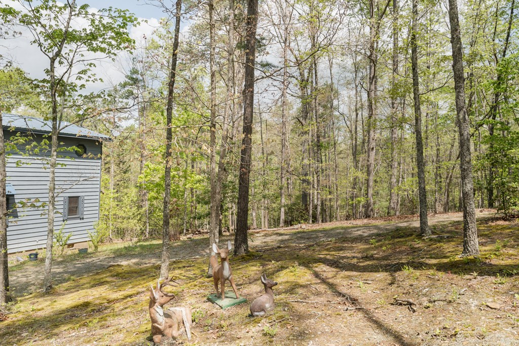 Exterior photo of 374 Country Lane, Murphy, NC 28906. MLS: 98519541