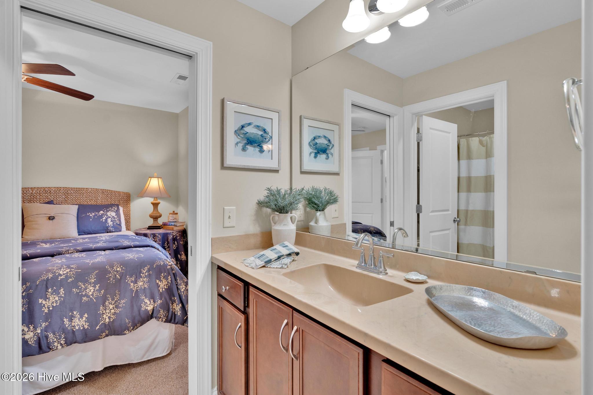 100556284 | Photo 32