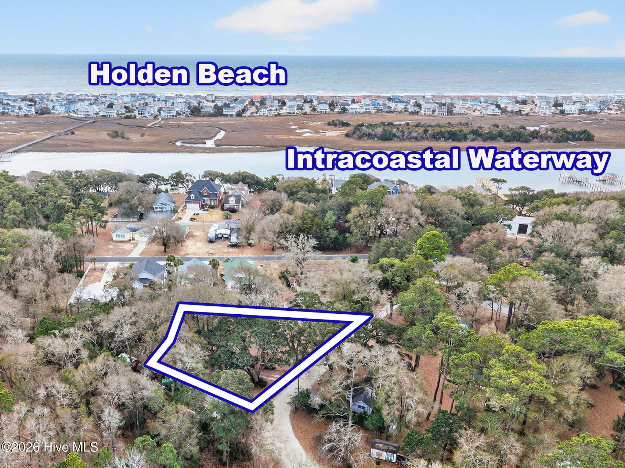 100558205 | Photo 10