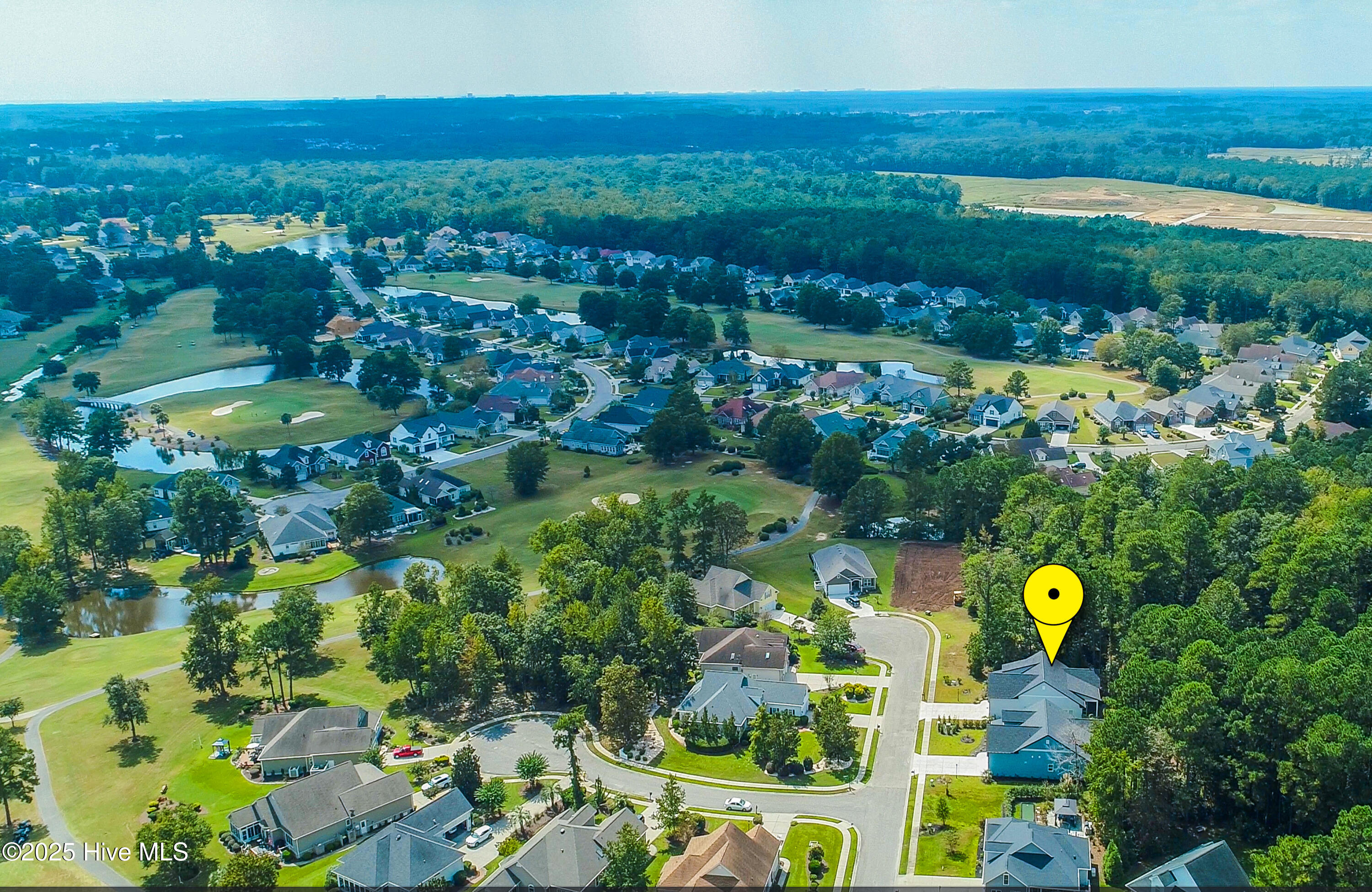 100532165 | Photo 41