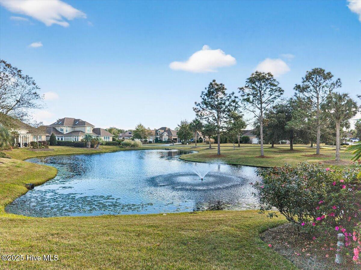 100539868 | Photo 41