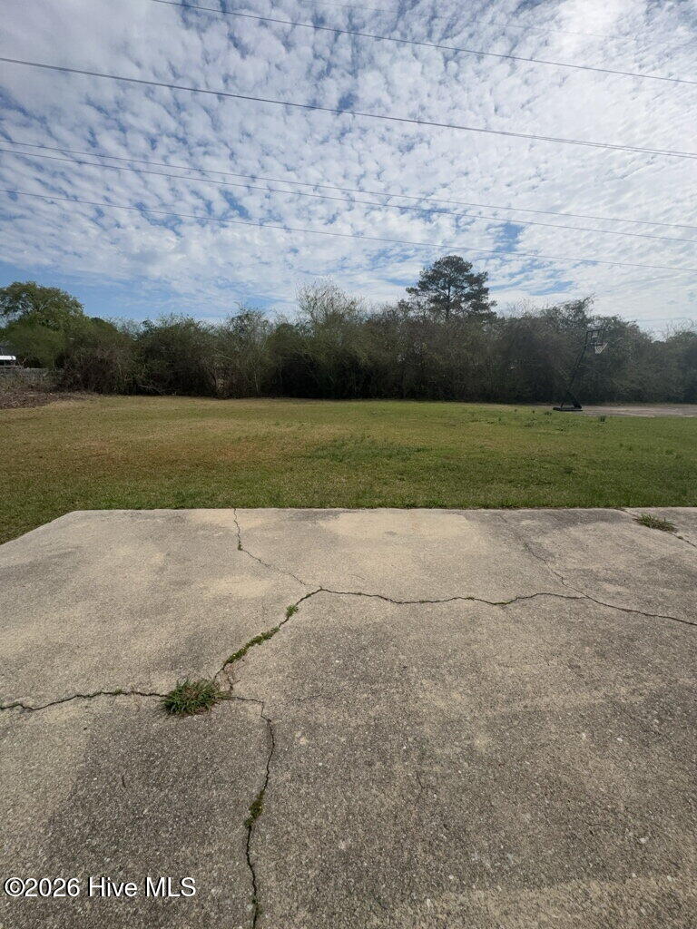 100559296 | Photo 21