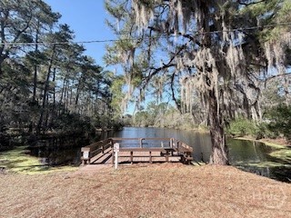 28 Deer Trail Lane, Midway, GA, 31320
