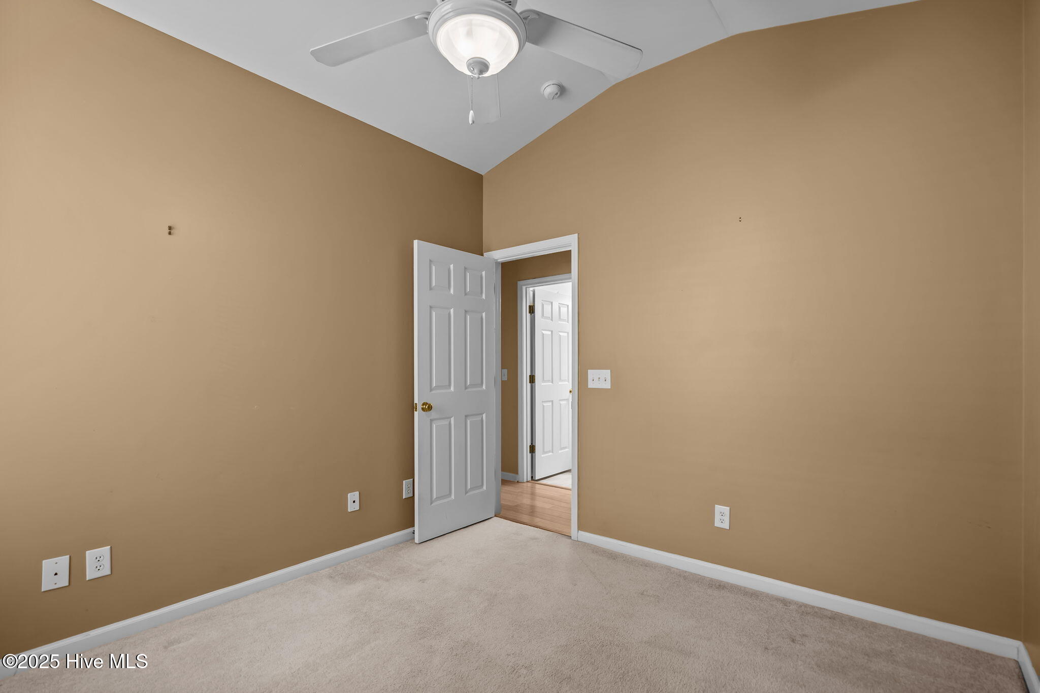 100538741 | Photo 32