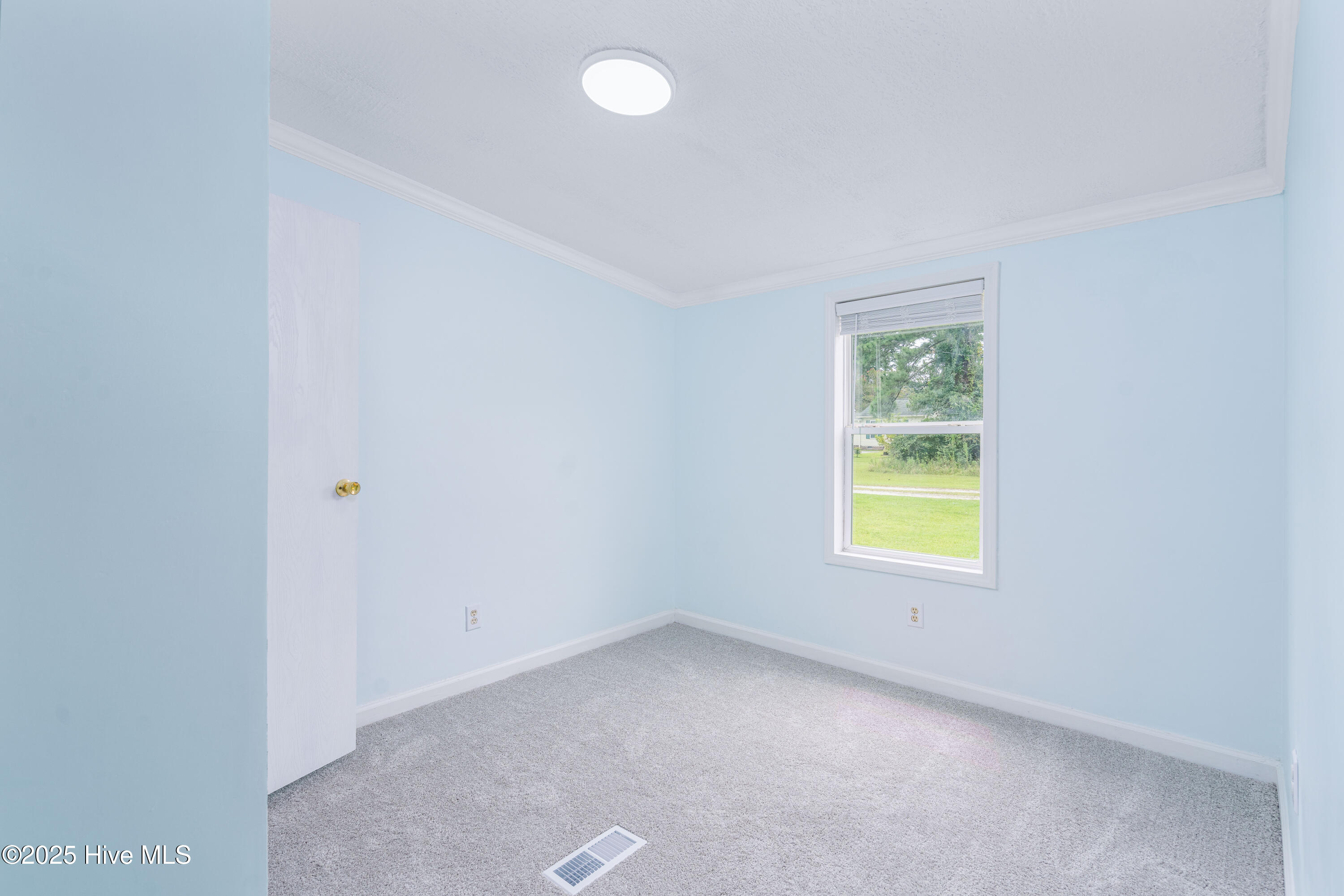 100527540 | Photo 18