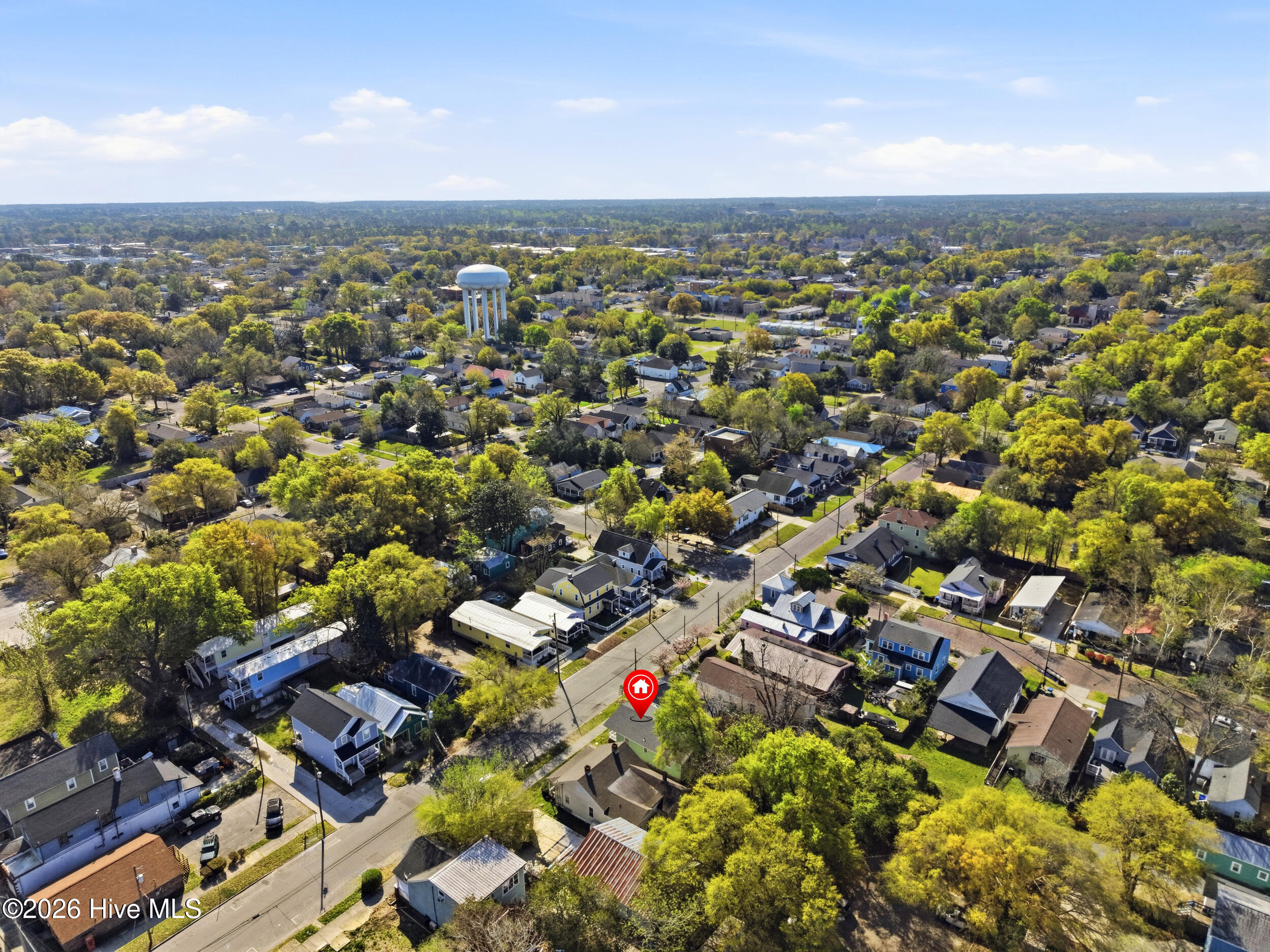 100564252 | Photo 26