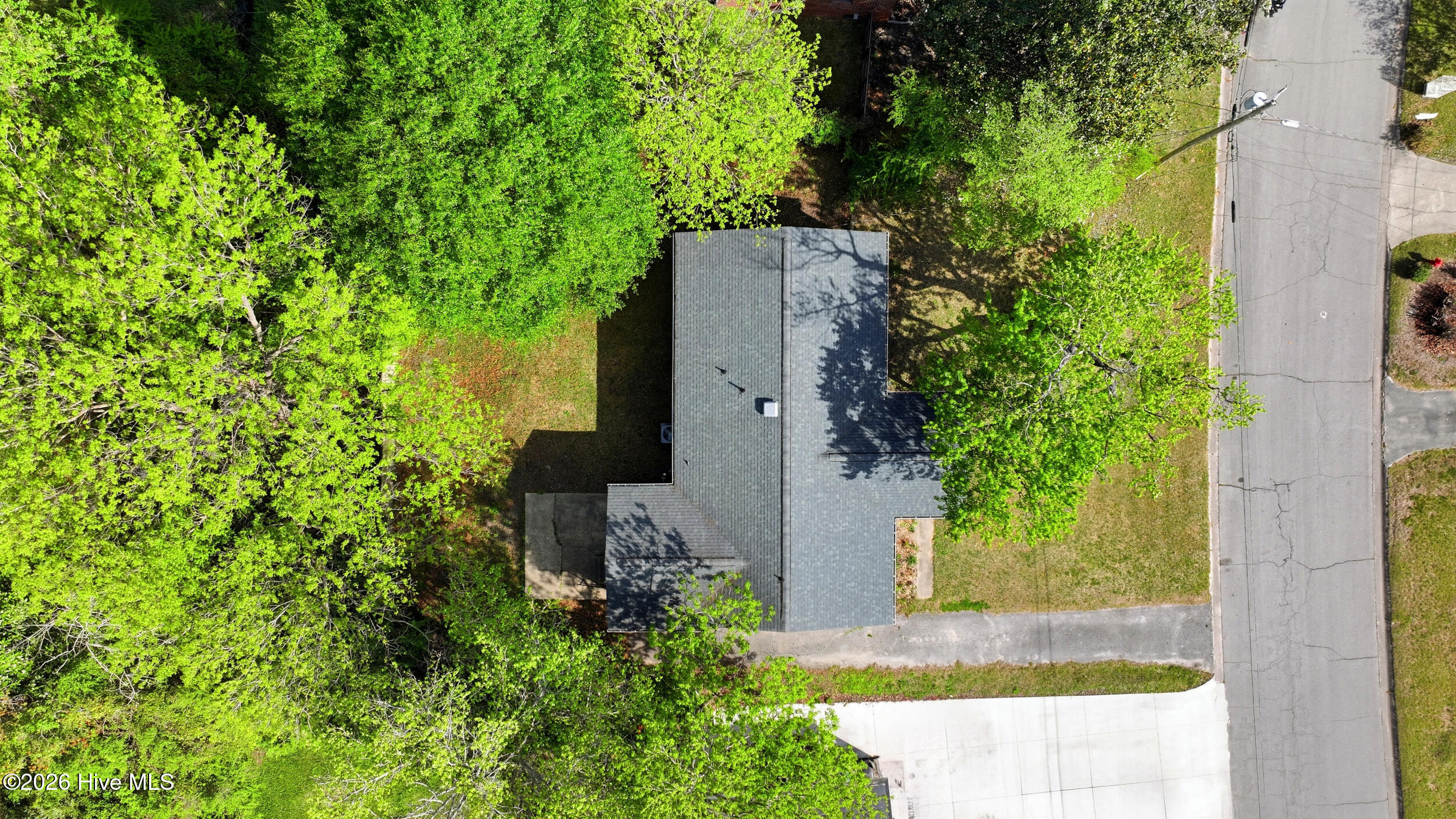 100566125 | Photo 50