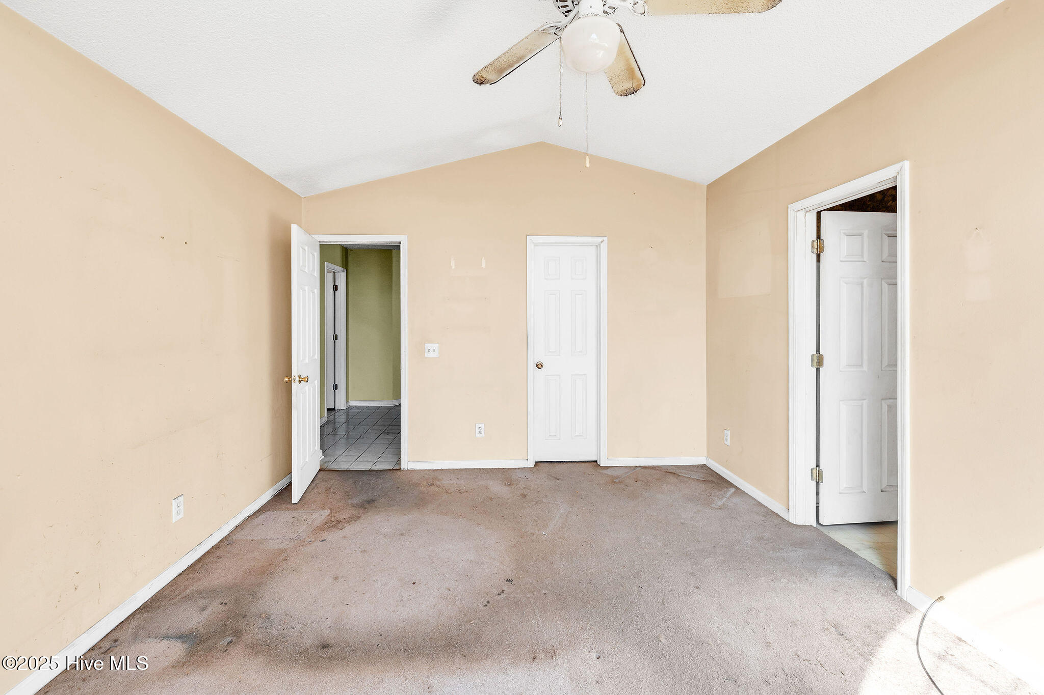 100541410 | Photo 14