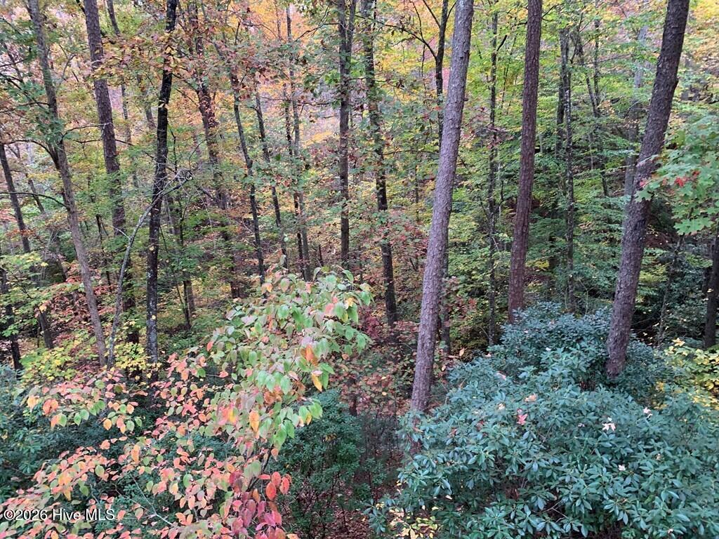 Listing Photo 100595263