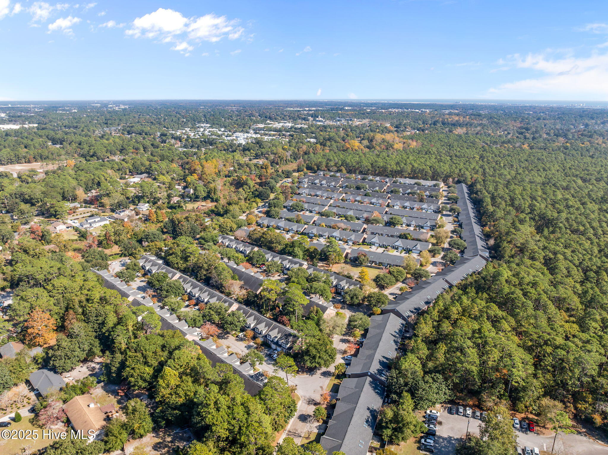 100540244 | Photo 56